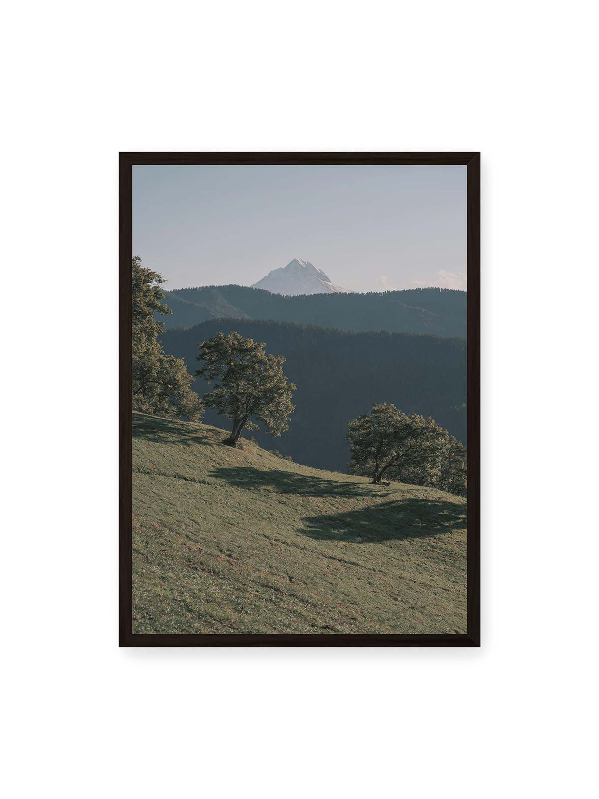 50x70 cm, schwarzer Rahmen – Ferner heller Berggipfel über dunklen Höhenzügen und einer geneigten grünen Wiese mit einzelnen Bäumen.