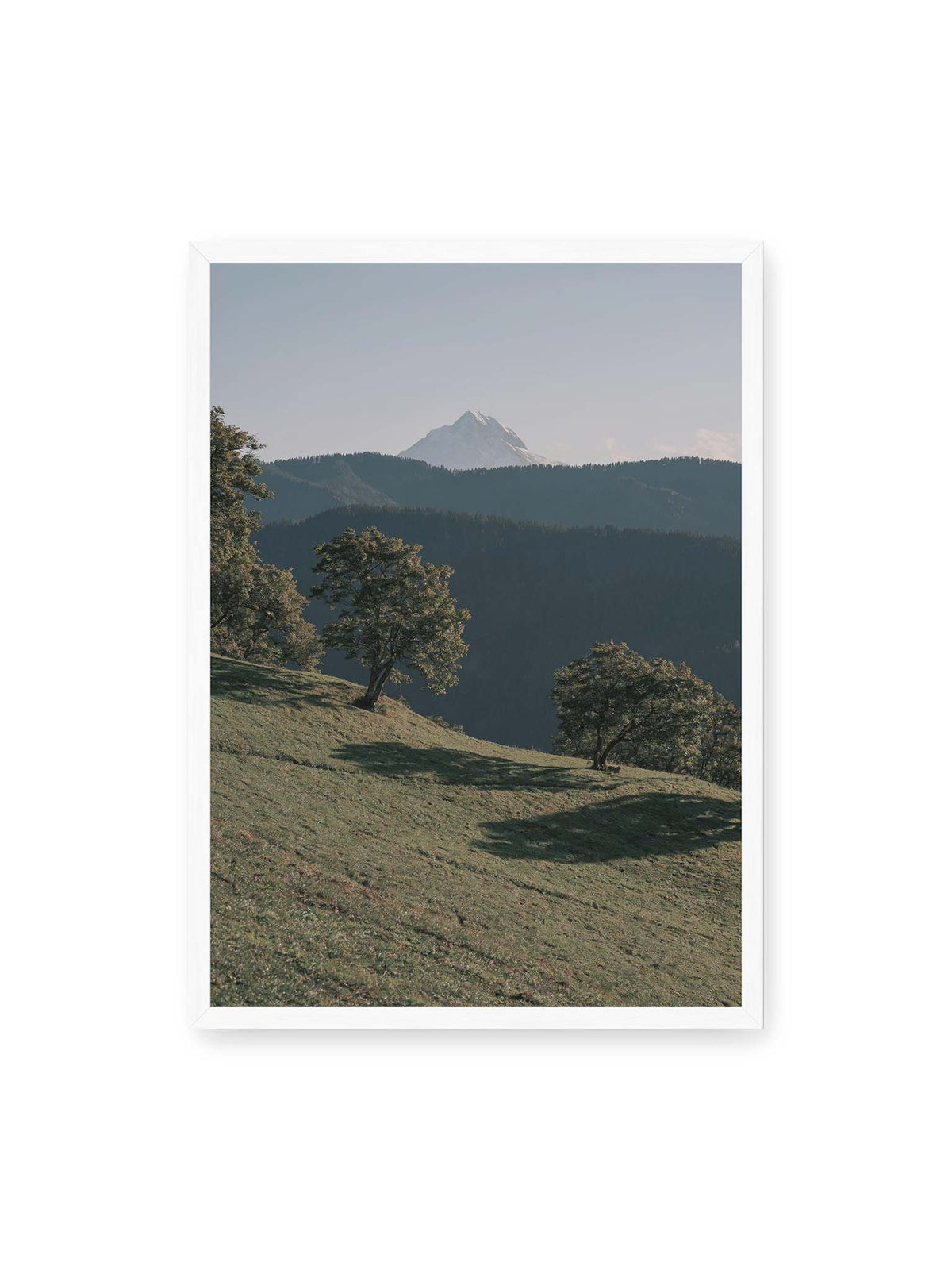 50x70 cm, weißer Rahmen – Ferner heller Berggipfel über dunklen Höhenzügen und einer geneigten grünen Wiese mit einzelnen Bäumen.