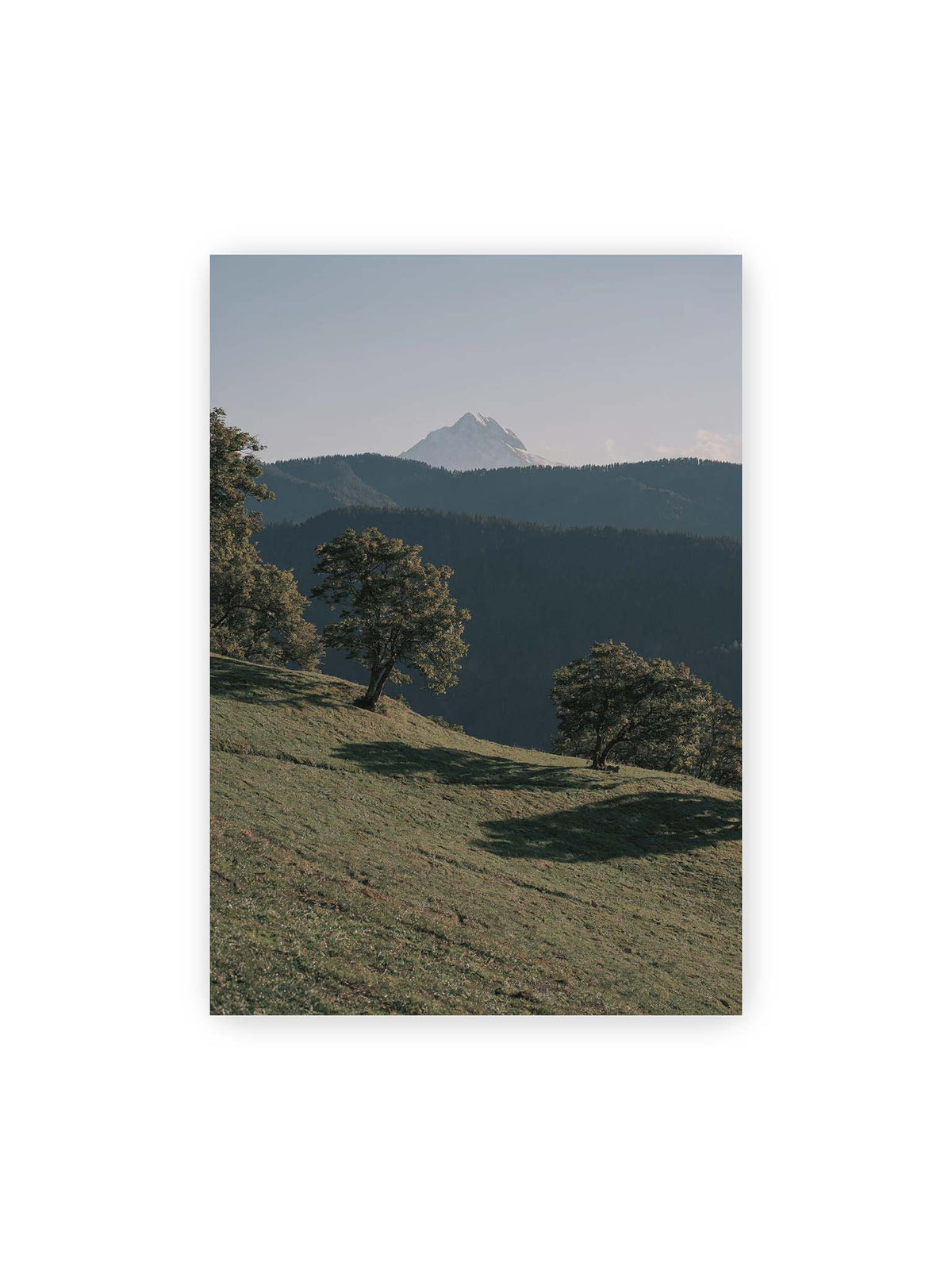 70x100 cm – Ferner heller Berggipfel über dunklen Höhenzügen und einer geneigten grünen Wiese mit einzelnen Bäumen.