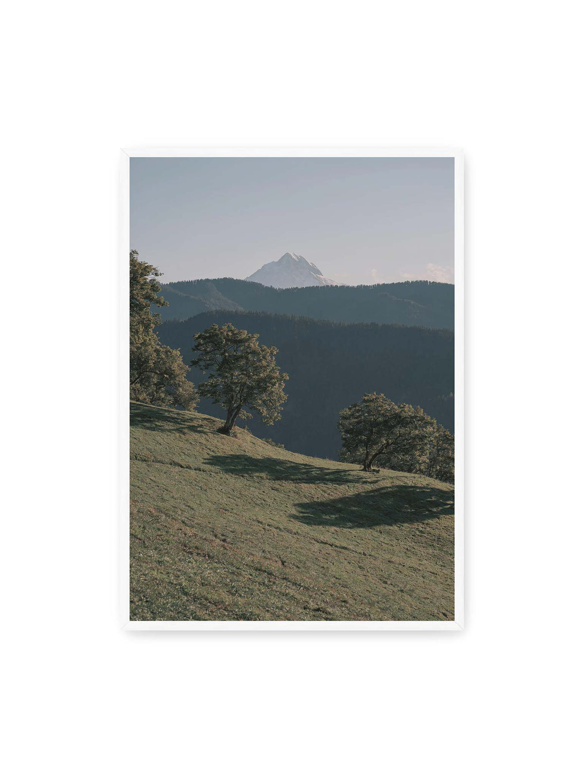 70x100 cm, weißer Rahmen – Ferner heller Berggipfel über dunklen Höhenzügen und einer geneigten grünen Wiese mit einzelnen Bäumen.