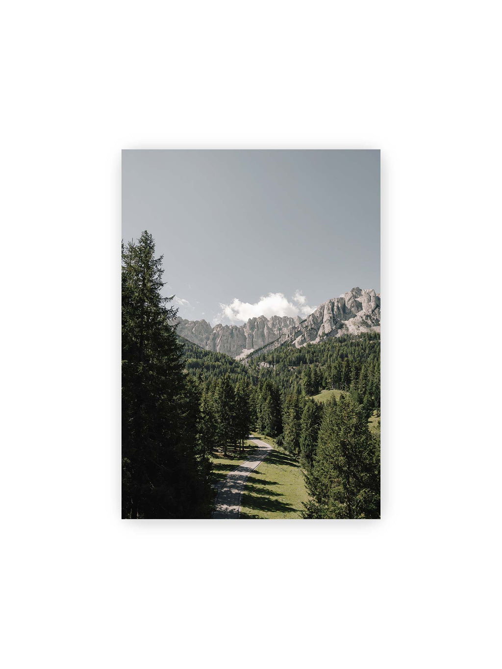 21x30 cm – Kurviger Weg durch dichten Nadelwald mit hellen, schroffen Felsformationen im Hintergrund.
