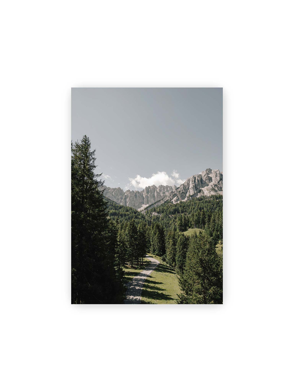 21x30 cm – Kurviger Weg durch dichten Nadelwald mit hellen, schroffen Felsformationen im Hintergrund.