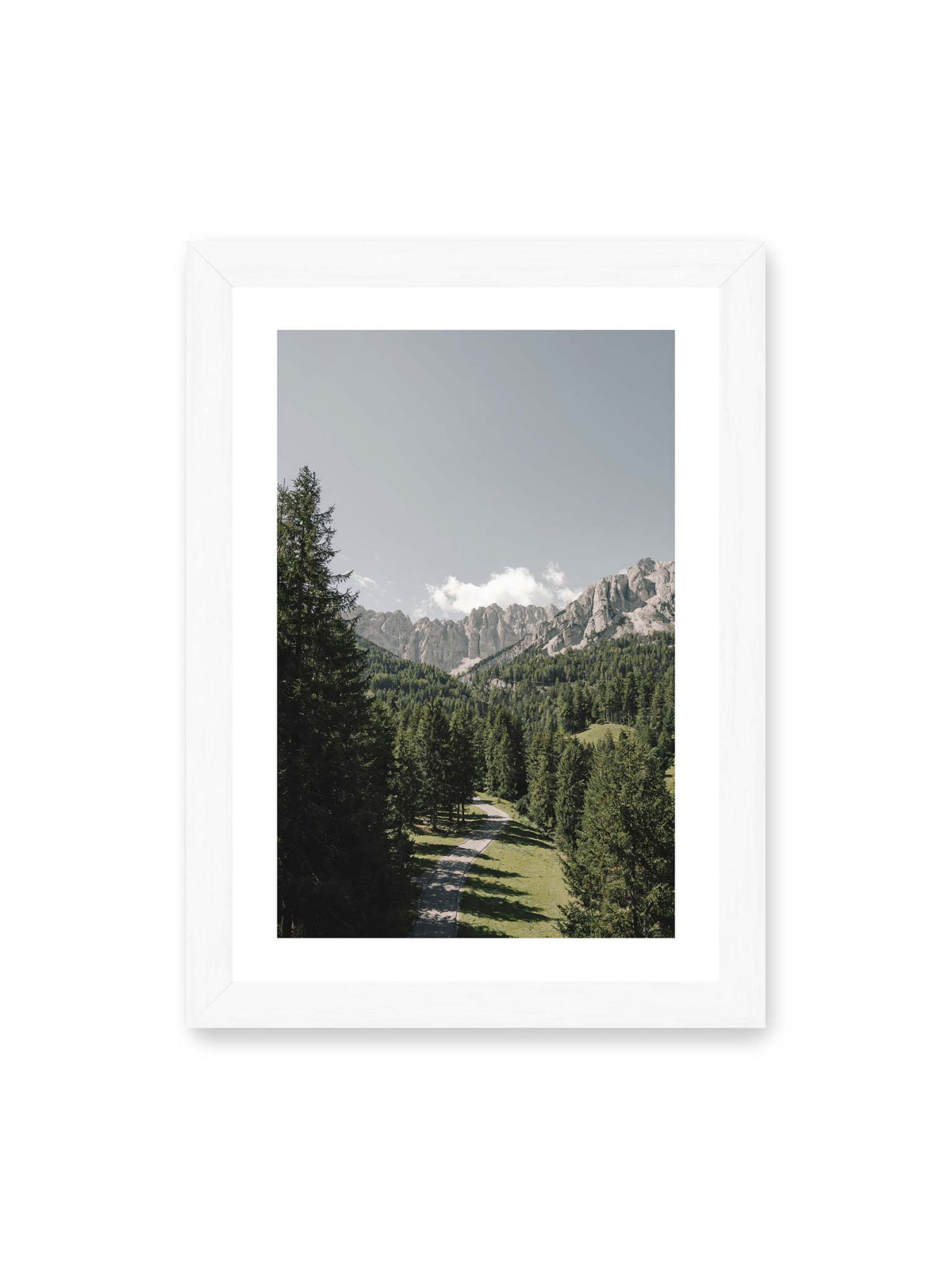 21x30 cm, weißer Galerie-Rand, weißer Rahmen – Kurviger Weg durch dichten Nadelwald mit hellen, schroffen Felsformationen im Hintergrund.