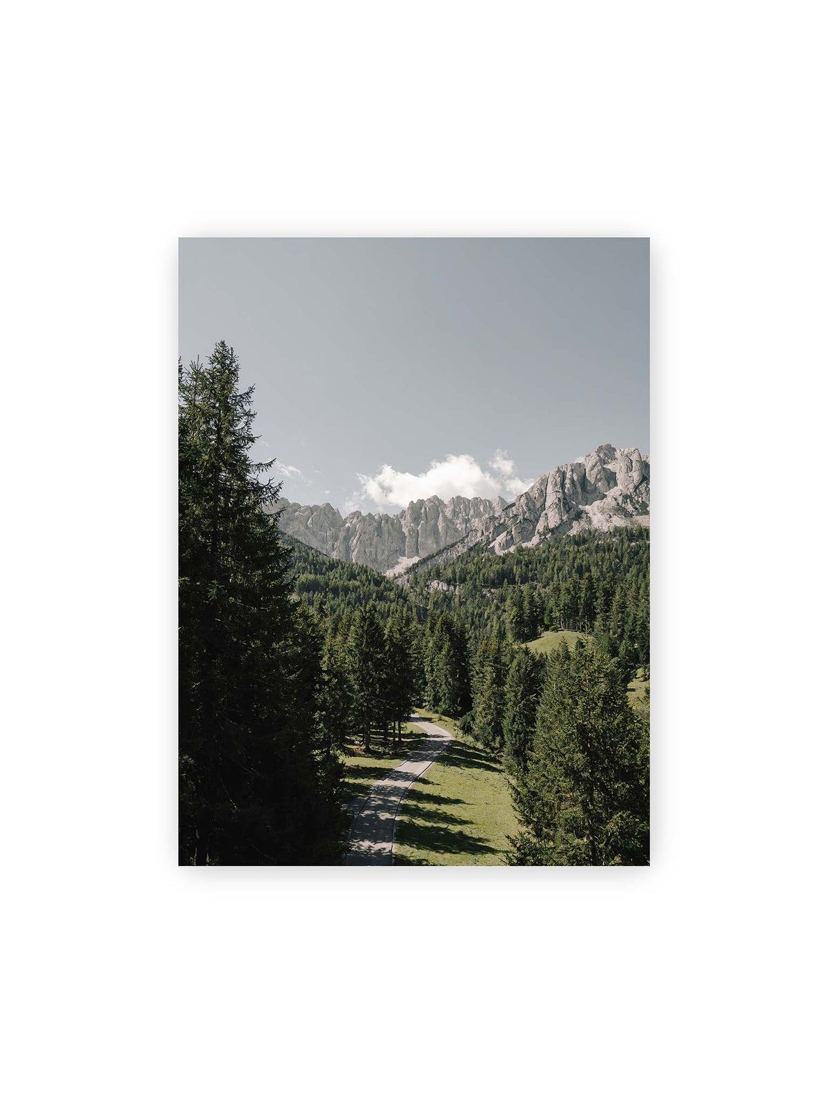30x40 cm – Kurviger Weg durch dichten Nadelwald mit hellen, schroffen Felsformationen im Hintergrund.