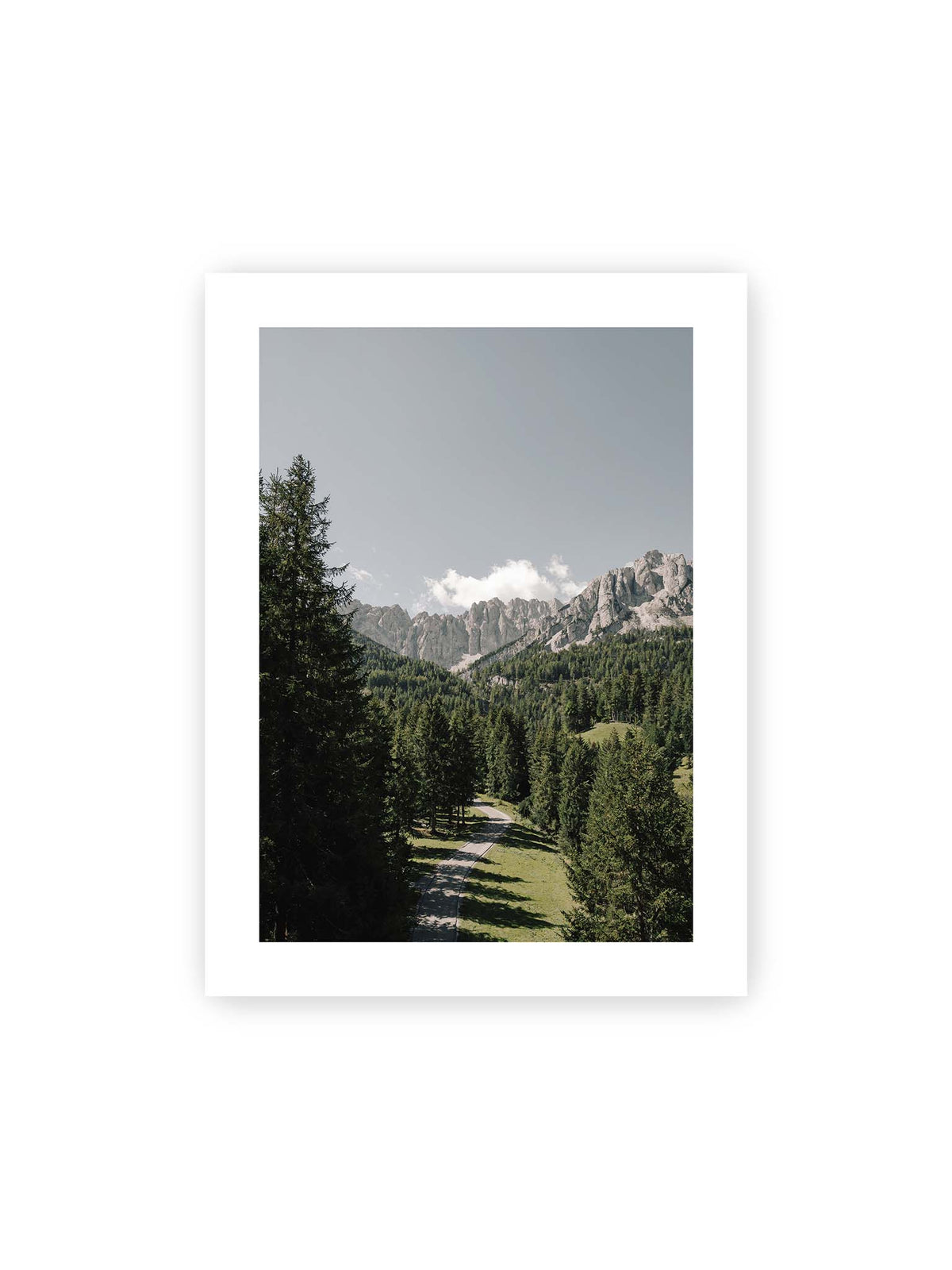 30x40 cm, weißer Galerie-Rand – Kurviger Weg durch dichten Nadelwald mit hellen, schroffen Felsformationen im Hintergrund.