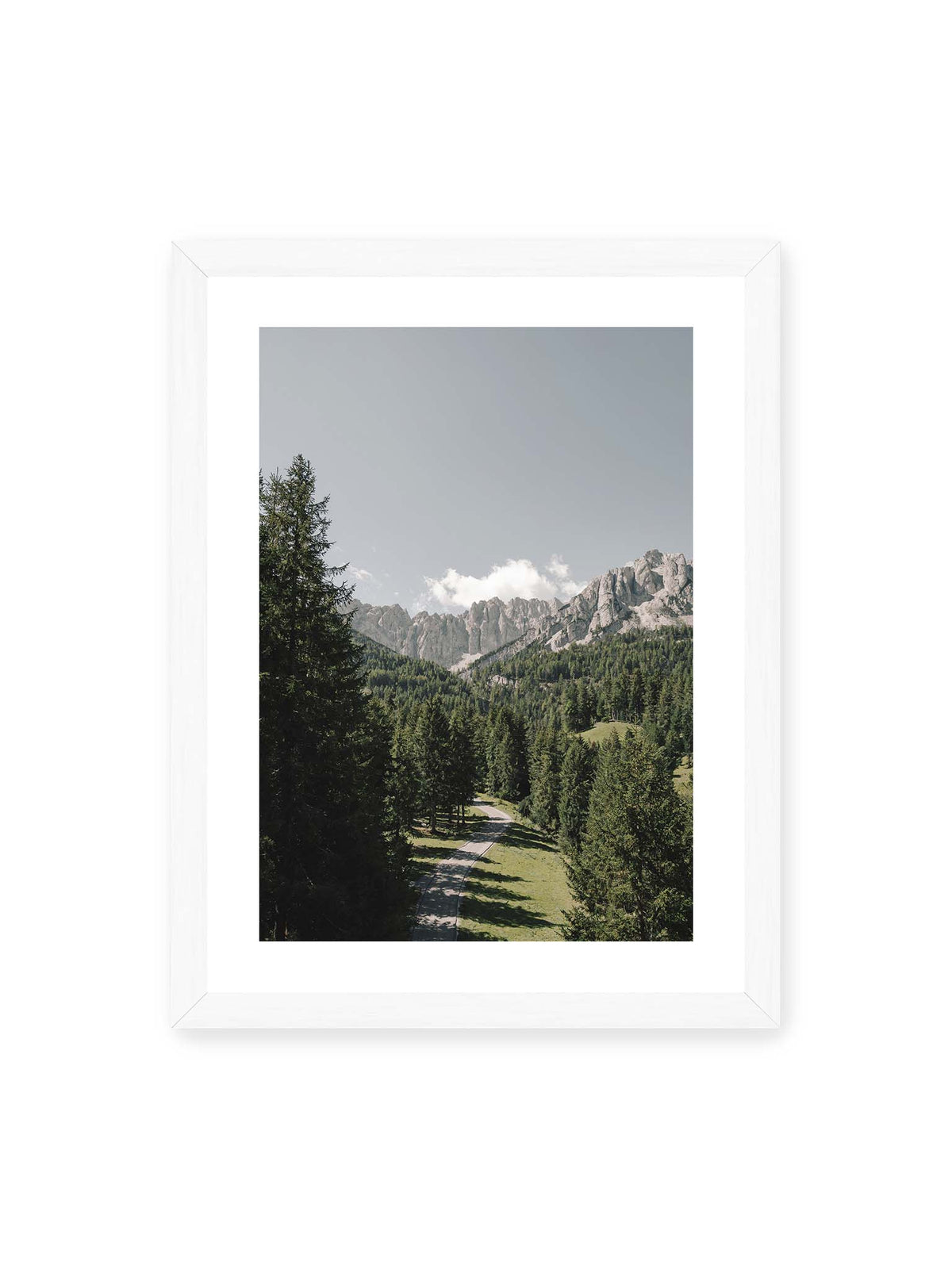 30x40 cm, weißer Galerie-Rand, weißer Rahmen – Kurviger Weg durch dichten Nadelwald mit hellen, schroffen Felsformationen im Hintergrund.