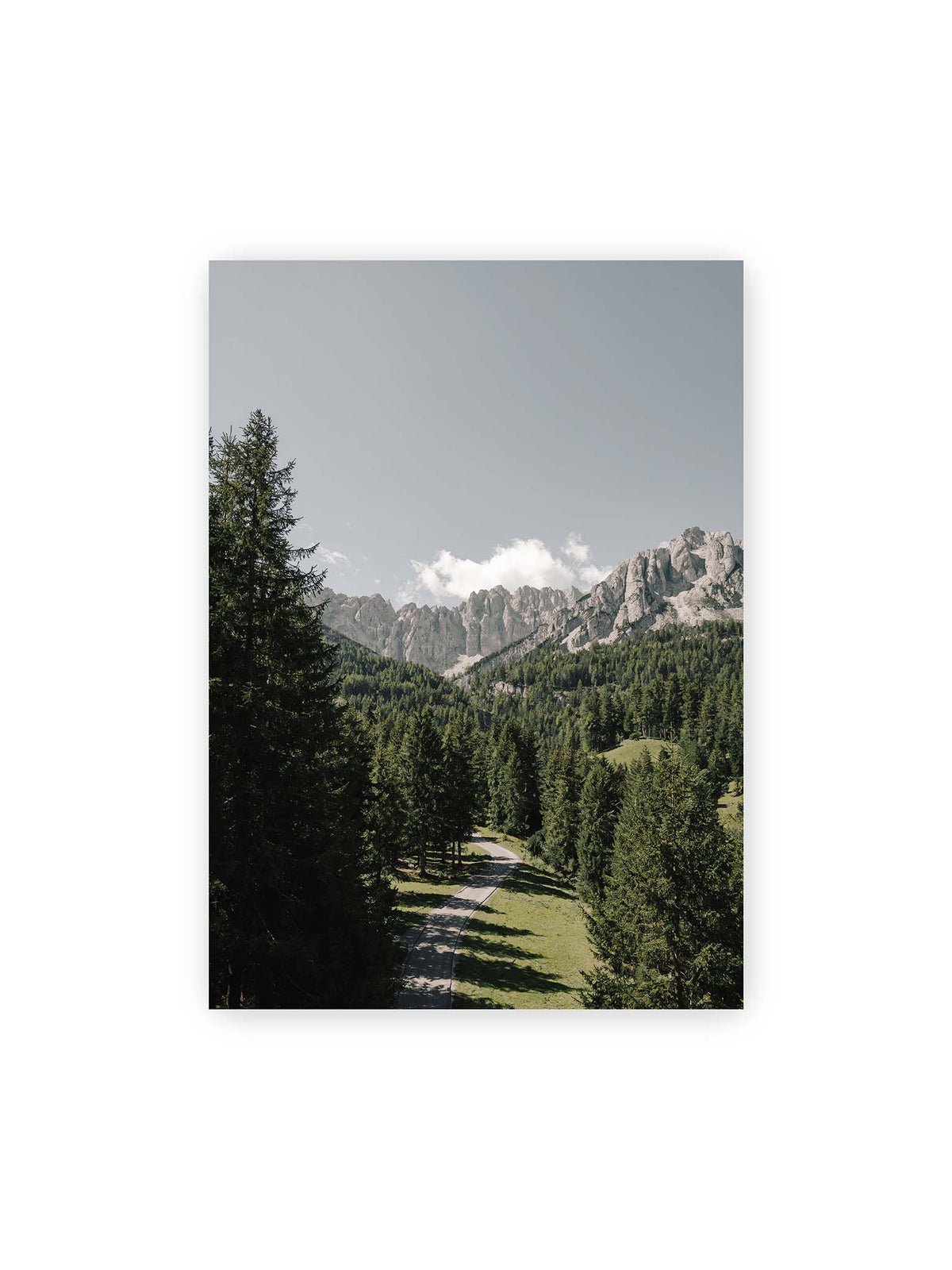 50x70 cm – Kurviger Weg durch dichten Nadelwald mit hellen, schroffen Felsformationen im Hintergrund.