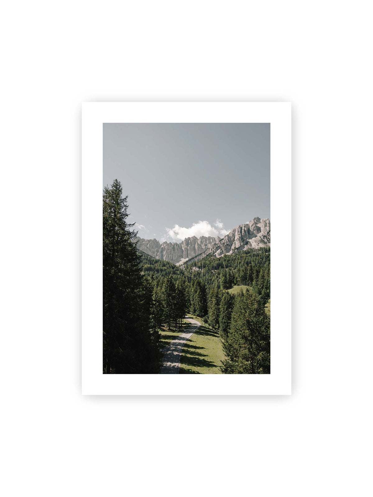 50x70 cm, weißer Galerie-Rand – Kurviger Weg durch dichten Nadelwald mit hellen, schroffen Felsformationen im Hintergrund.