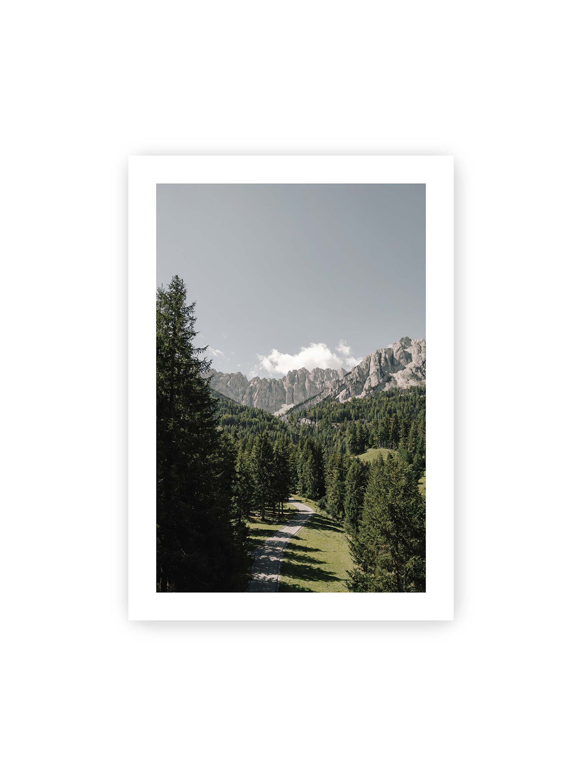 70x100 cm, weißer Galerie-Rand – Kurviger Weg durch dichten Nadelwald mit hellen, schroffen Felsformationen im Hintergrund.