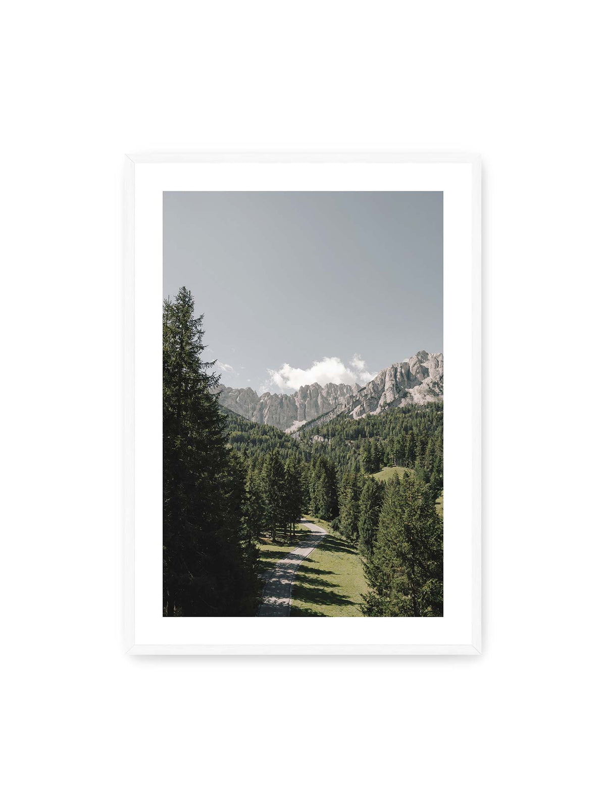 70x100 cm, weißer Galerie-Rand, weißer Rahmen – Kurviger Weg durch dichten Nadelwald mit hellen, schroffen Felsformationen im Hintergrund.