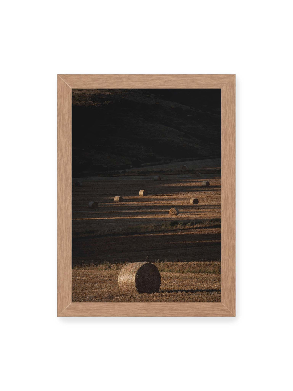 21x30 cm, Eichenrahmen – Rundballen auf einem abgeernteten Feld zwischen langen Schatten und schmalen Bahnen warmen Lichts.