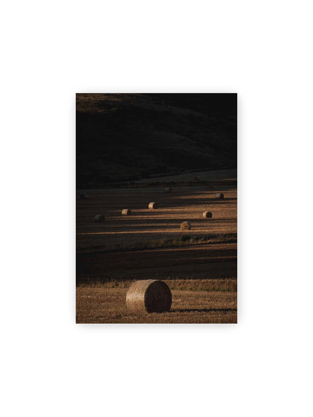 21x30 cm – Rundballen auf einem abgeernteten Feld zwischen langen Schatten und schmalen Bahnen warmen Lichts.
