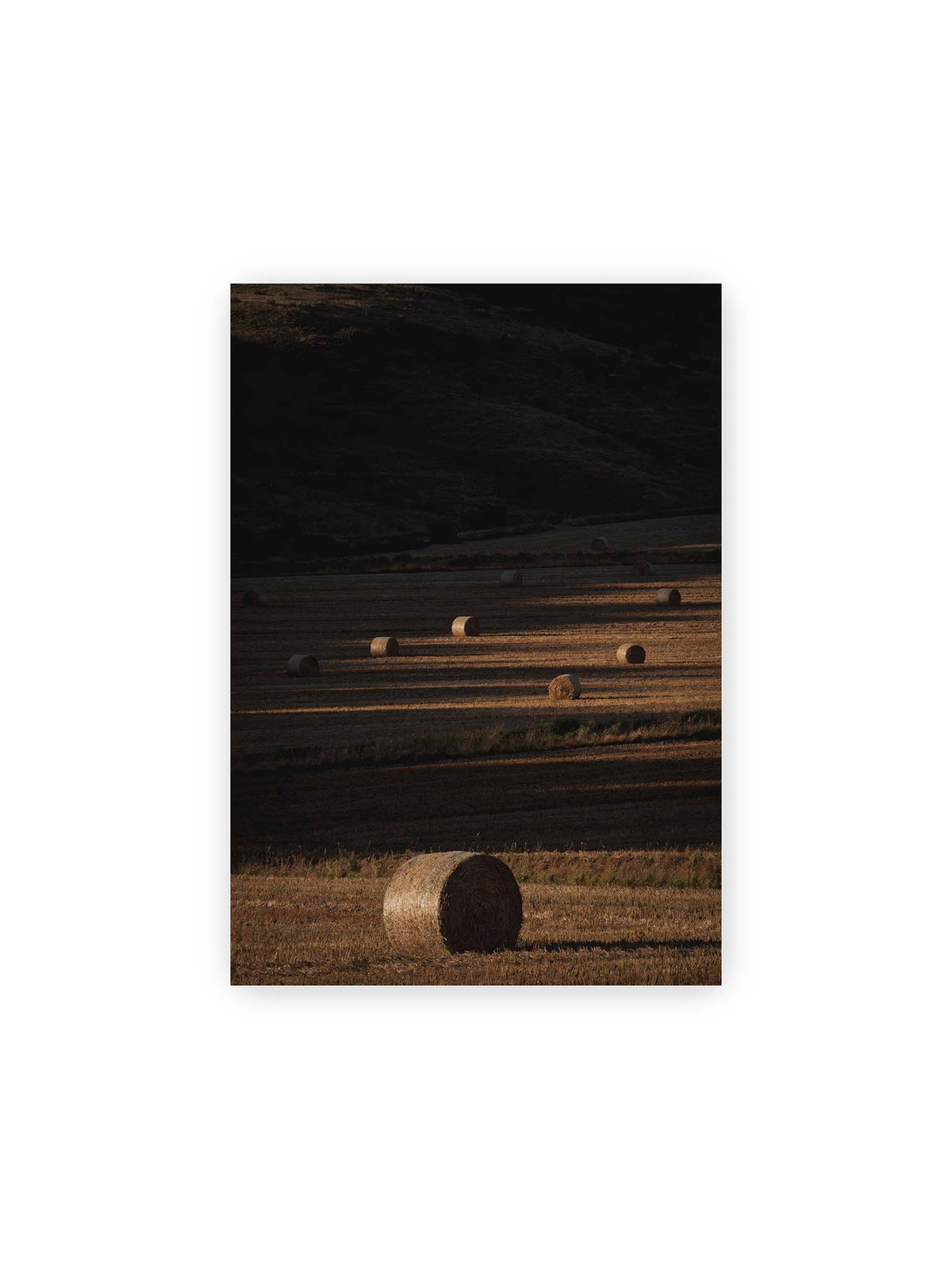 21x30 cm – Rundballen auf einem abgeernteten Feld zwischen langen Schatten und schmalen Bahnen warmen Lichts.