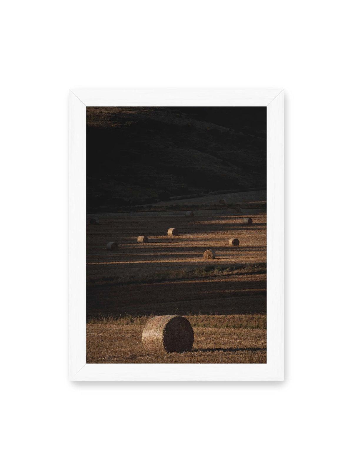 21x30 cm, weißer Rahmen – Rundballen auf einem abgeernteten Feld zwischen langen Schatten und schmalen Bahnen warmen Lichts.