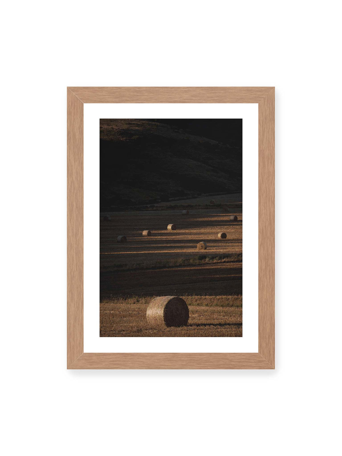 21x30 cm, weißer Galerie-Rand, Eichenrahmen – Rundballen auf einem abgeernteten Feld zwischen langen Schatten und schmalen Bahnen warmen Lichts.