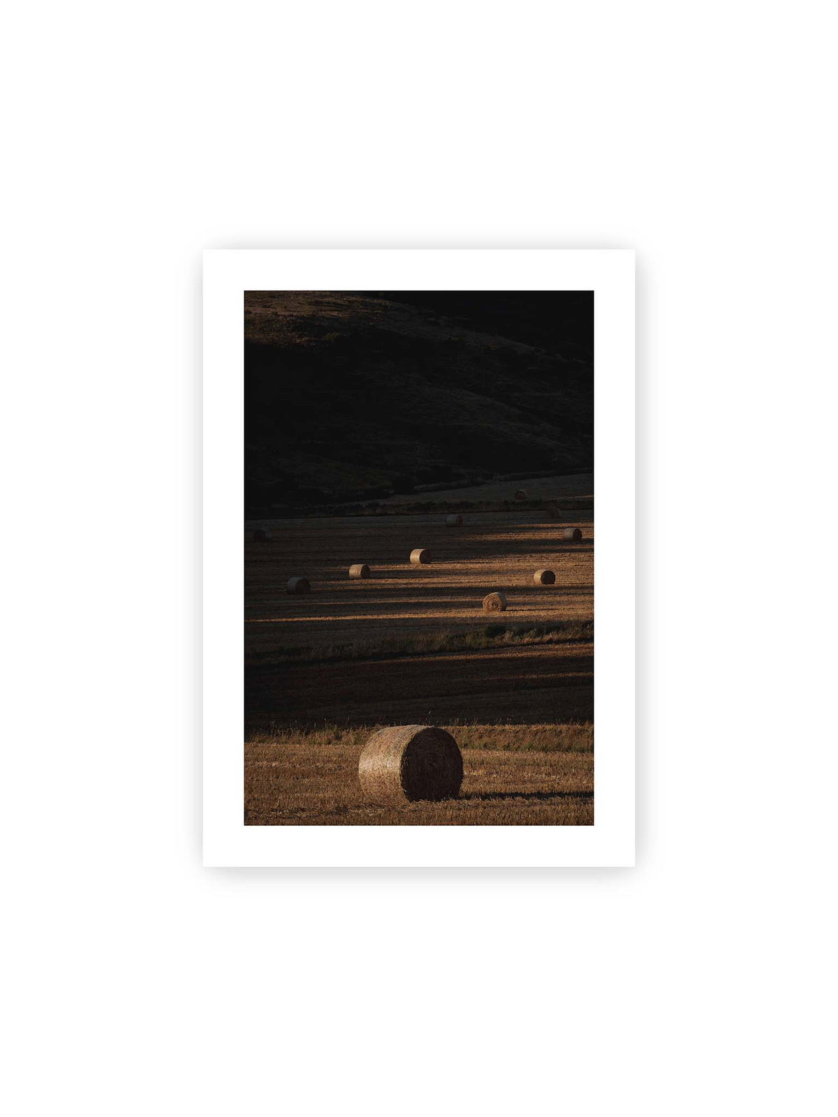 21x30 cm, weißer Galerie-Rand – Rundballen auf einem abgeernteten Feld zwischen langen Schatten und schmalen Bahnen warmen Lichts.