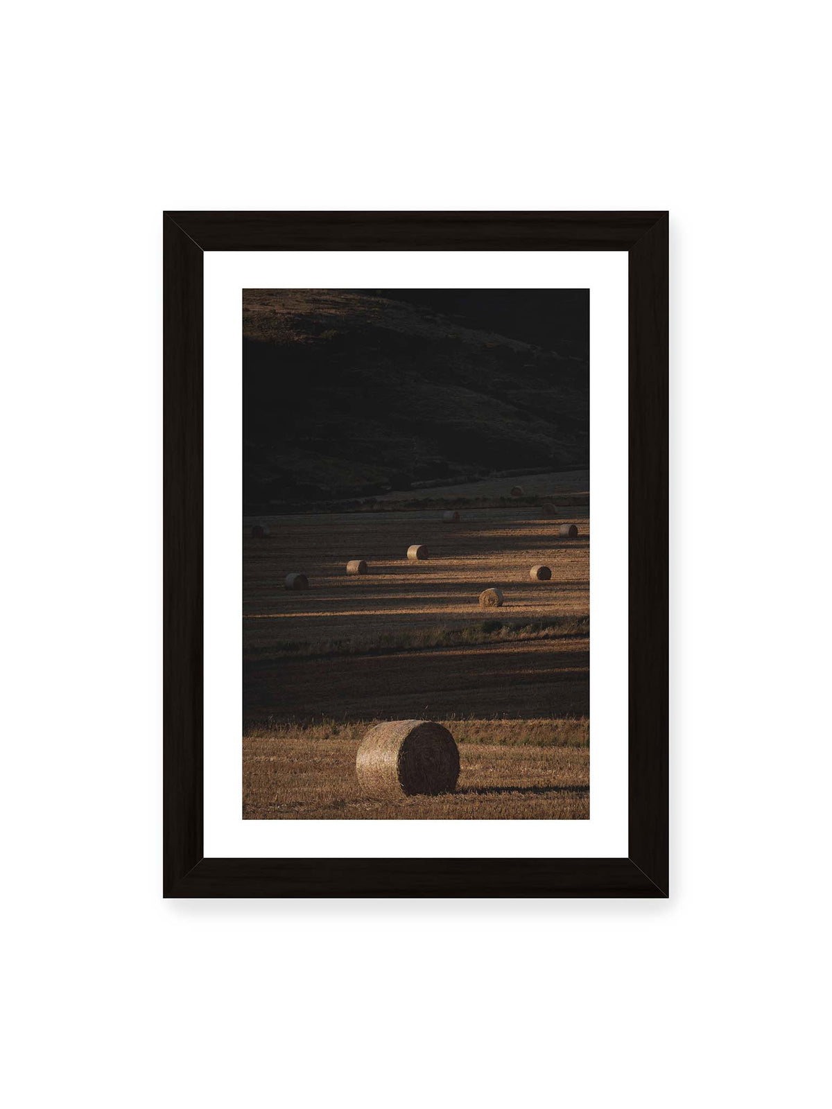 21x30 cm, weißer Galerie-Rand, schwarzer Rahmen – Rundballen auf einem abgeernteten Feld zwischen langen Schatten und schmalen Bahnen warmen Lichts.