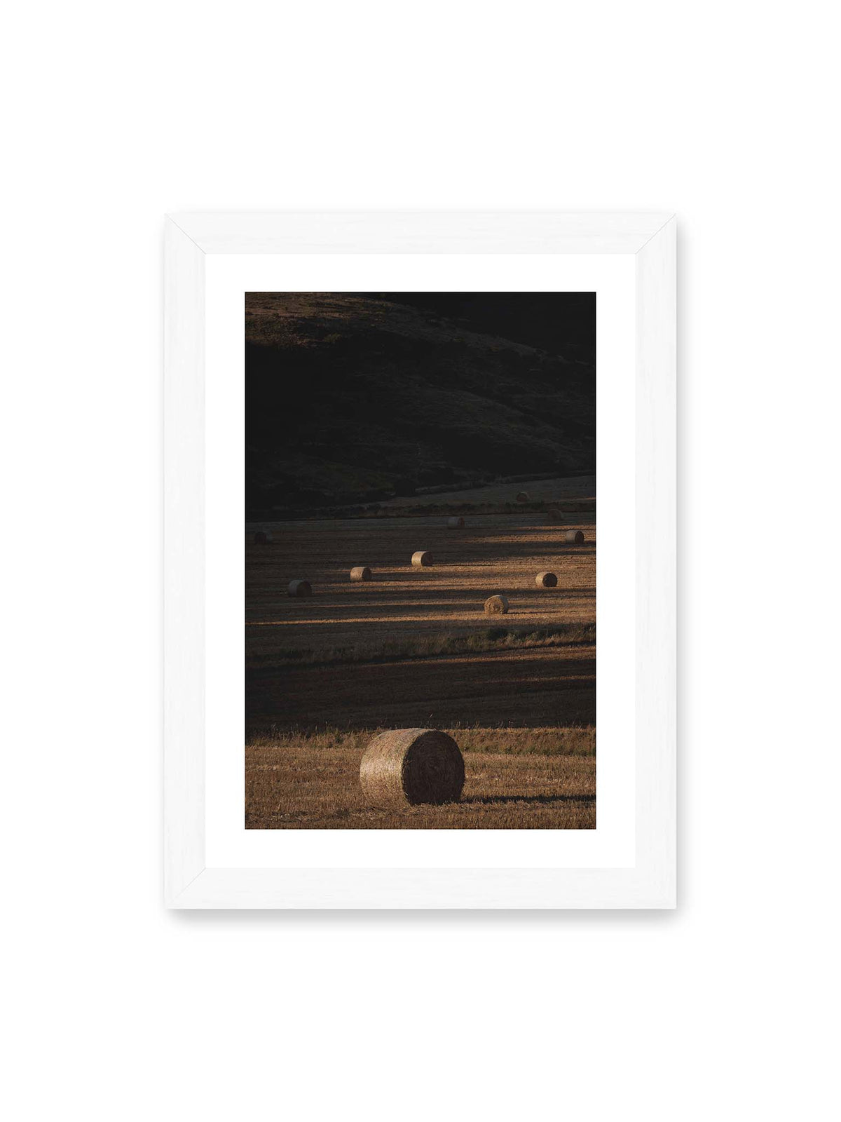 21x30 cm, weißer Galerie-Rand, weißer Rahmen – Rundballen auf einem abgeernteten Feld zwischen langen Schatten und schmalen Bahnen warmen Lichts.