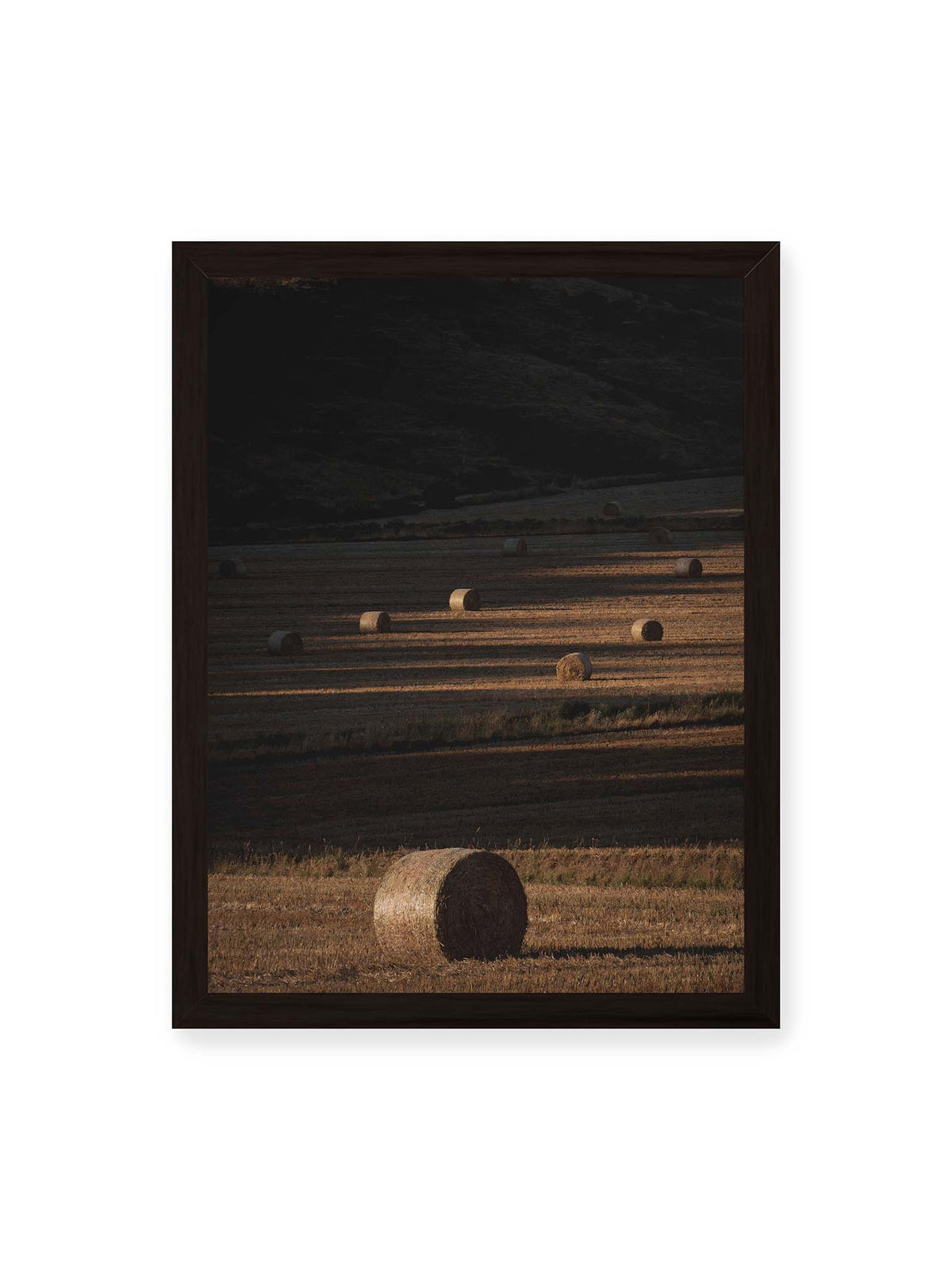 30x40 cm, schwarzer Rahmen – Rundballen auf einem abgeernteten Feld zwischen langen Schatten und schmalen Bahnen warmen Lichts.