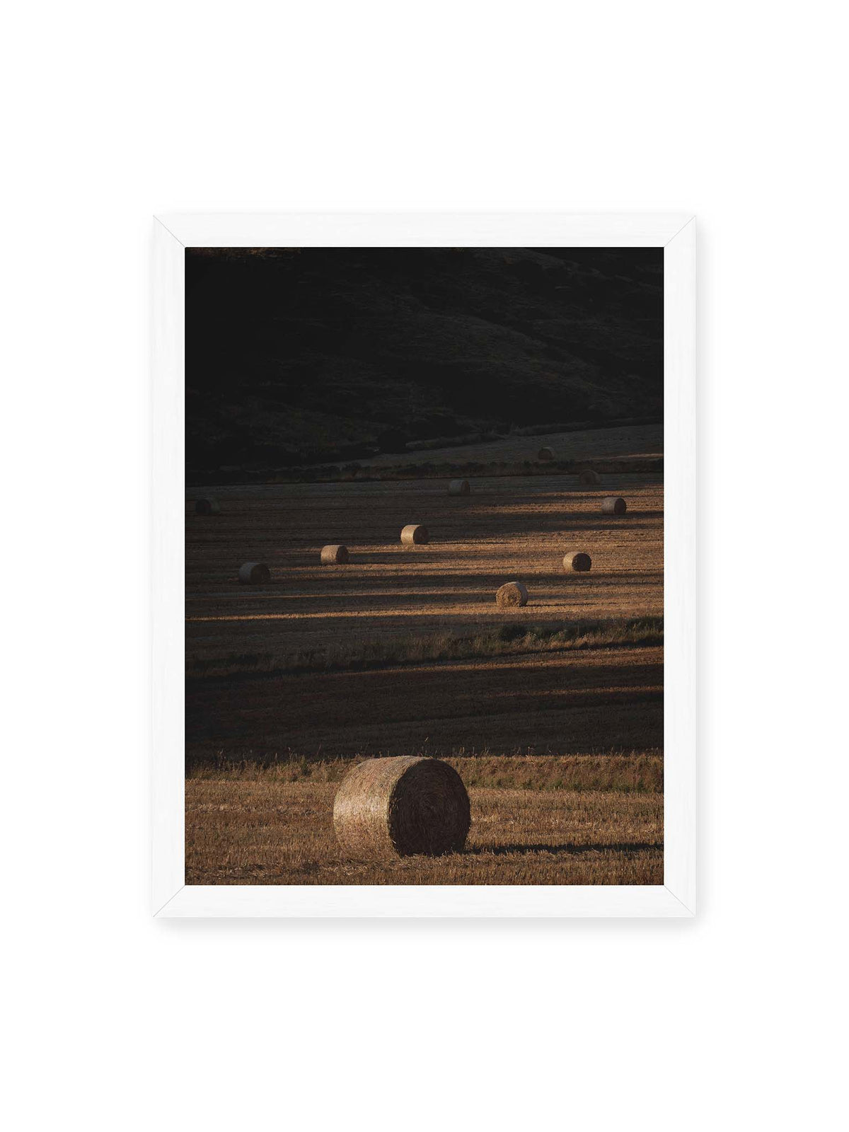 30x40 cm, weißer Rahmen – Rundballen auf einem abgeernteten Feld zwischen langen Schatten und schmalen Bahnen warmen Lichts.
