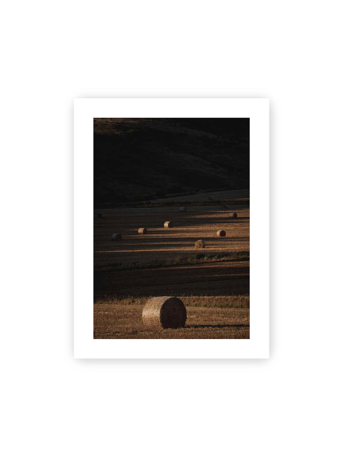 30x40 cm, weißer Galerie-Rand – Rundballen auf einem abgeernteten Feld zwischen langen Schatten und schmalen Bahnen warmen Lichts.