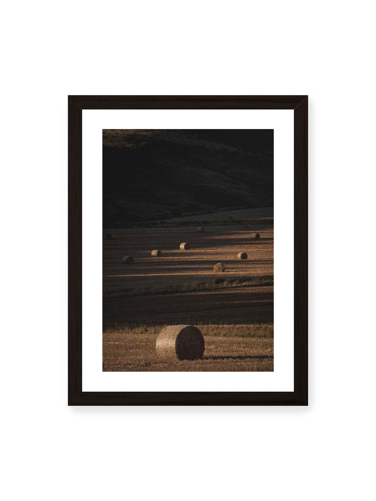 30x40 cm, weißer Galerie-Rand, schwarzer Rahmen – Rundballen auf einem abgeernteten Feld zwischen langen Schatten und schmalen Bahnen warmen Lichts.