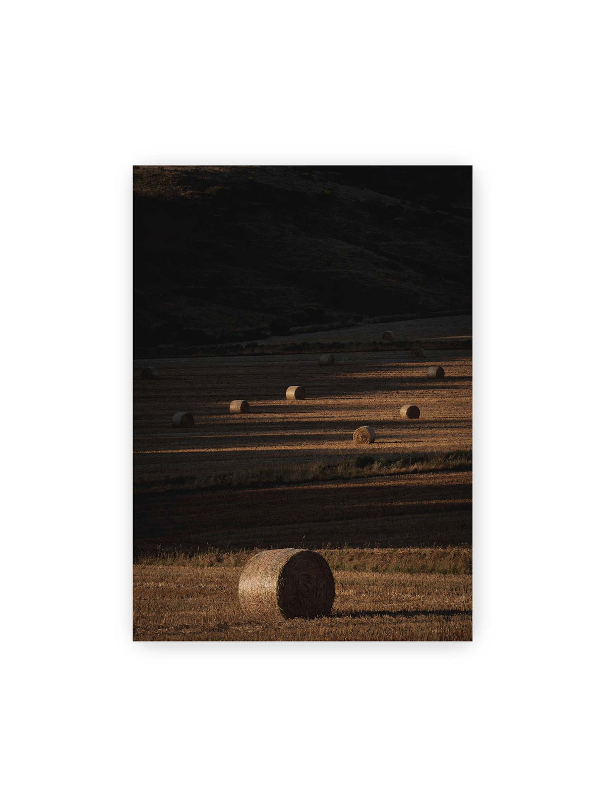 50x70 cm – Rundballen auf einem abgeernteten Feld zwischen langen Schatten und schmalen Bahnen warmen Lichts.