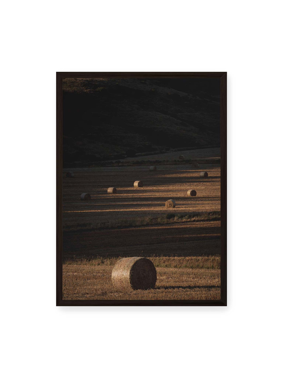50x70 cm, schwarzer Rahmen – Rundballen auf einem abgeernteten Feld zwischen langen Schatten und schmalen Bahnen warmen Lichts.