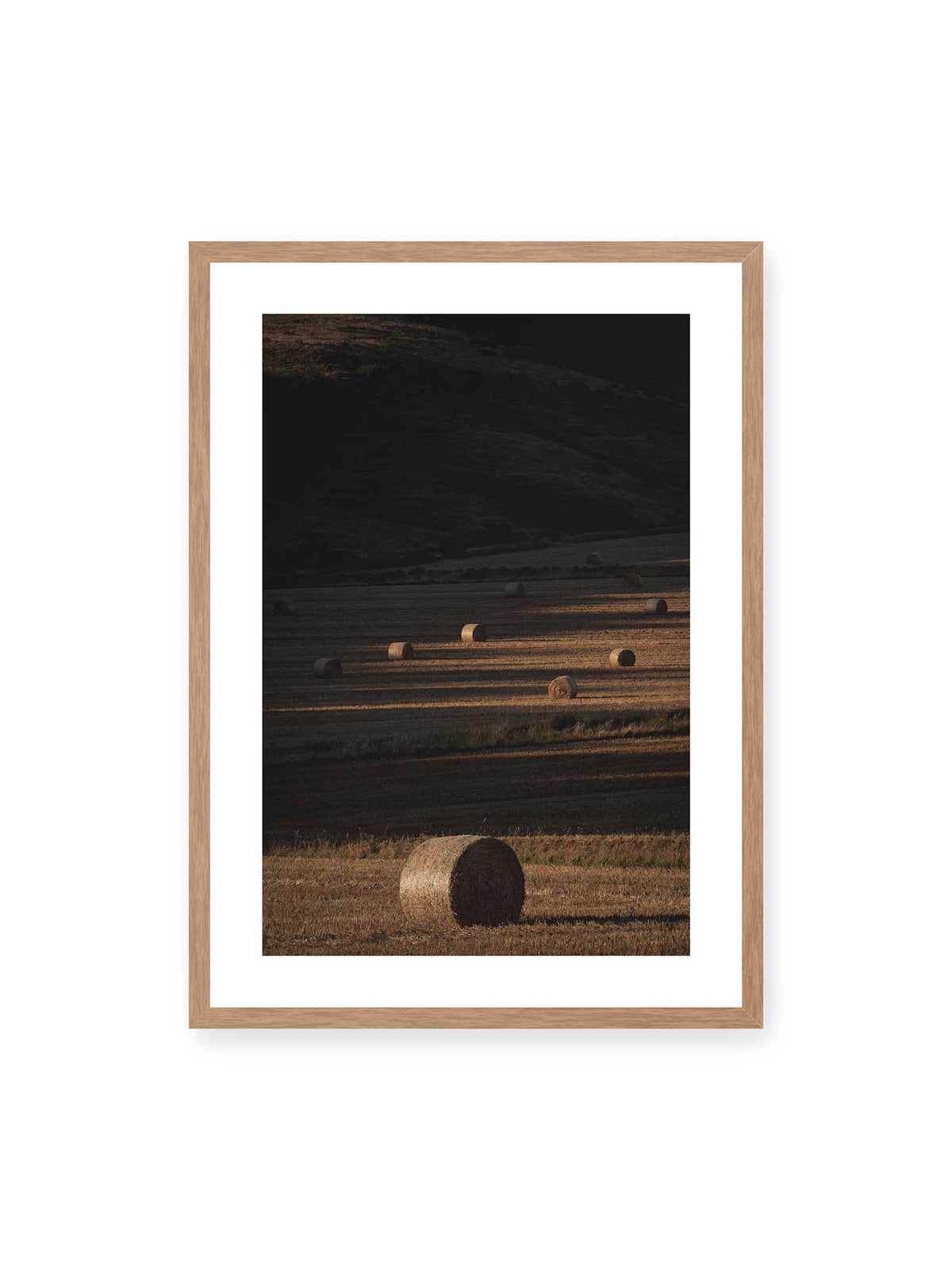 50x70 cm, weißer Galerie-Rand, Eichenrahmen – Rundballen auf einem abgeernteten Feld zwischen langen Schatten und schmalen Bahnen warmen Lichts.