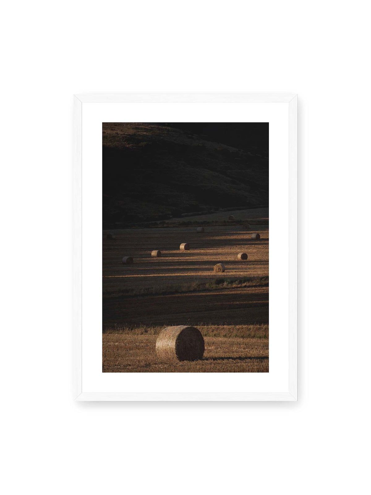50x70 cm, weißer Galerie-Rand, weißer Rahmen – Rundballen auf einem abgeernteten Feld zwischen langen Schatten und schmalen Bahnen warmen Lichts.