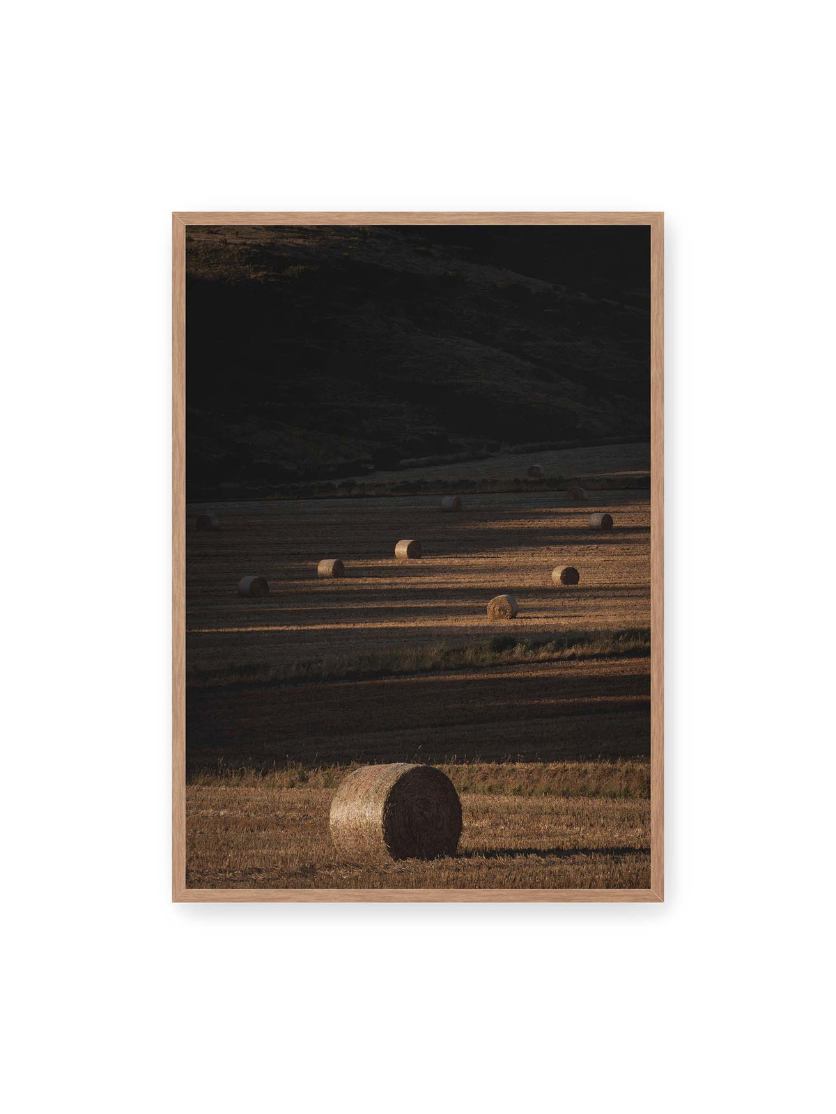 70x100 cm, Eichenrahmen – Rundballen auf einem abgeernteten Feld zwischen langen Schatten und schmalen Bahnen warmen Lichts.