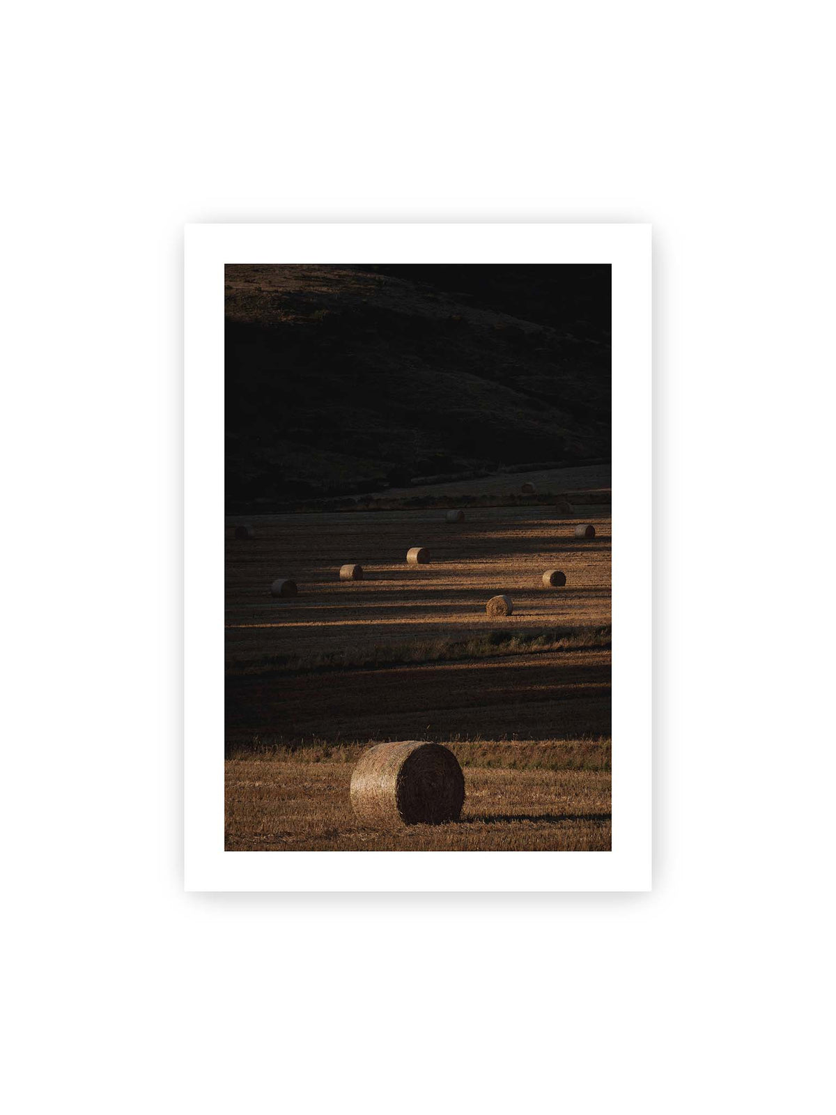 70x100 cm, weißer Galerie-Rand – Rundballen auf einem abgeernteten Feld zwischen langen Schatten und schmalen Bahnen warmen Lichts.