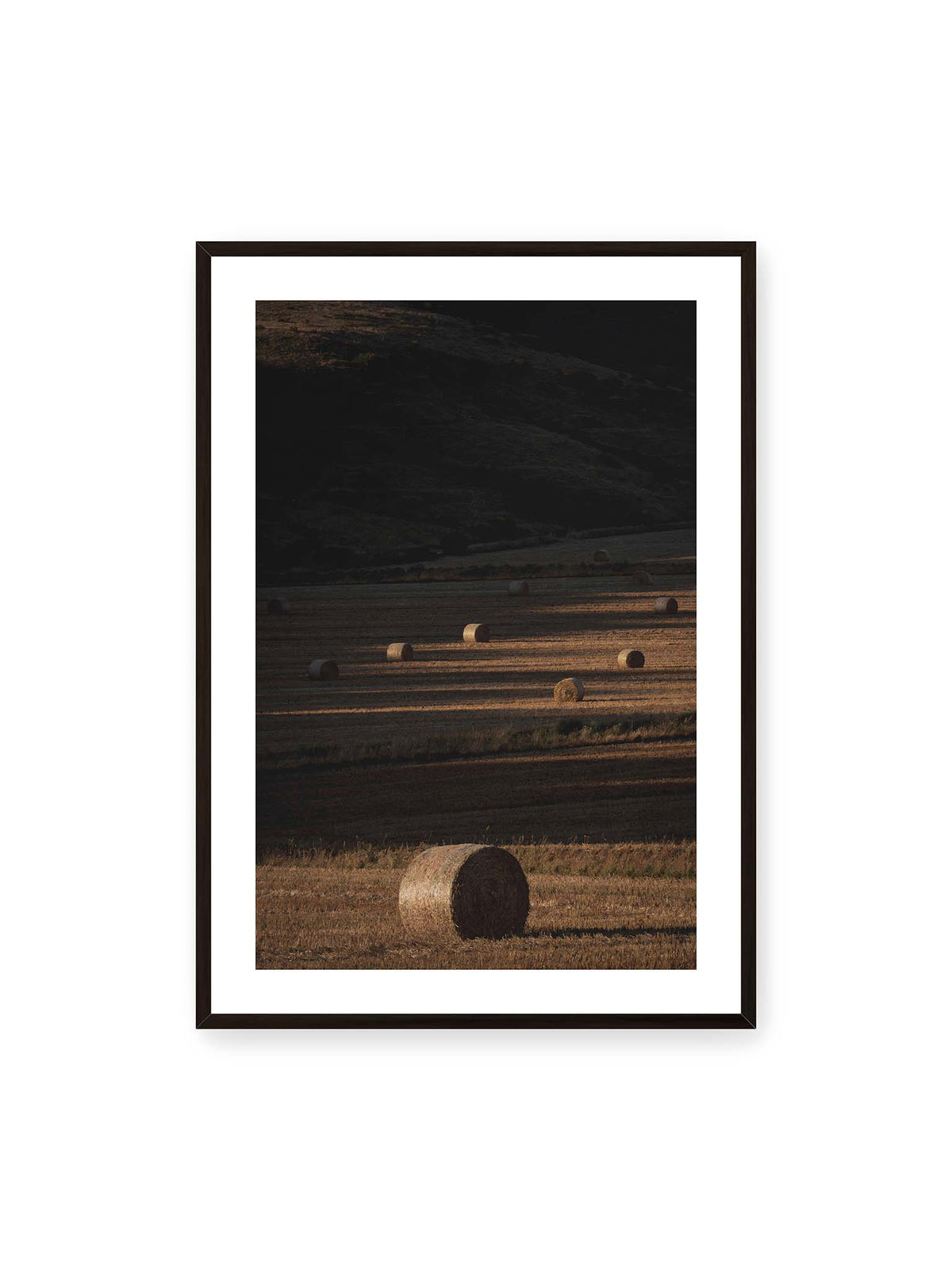 70x100 cm, weißer Galerie-Rand, schwarzer Rahmen – Rundballen auf einem abgeernteten Feld zwischen langen Schatten und schmalen Bahnen warmen Lichts.
