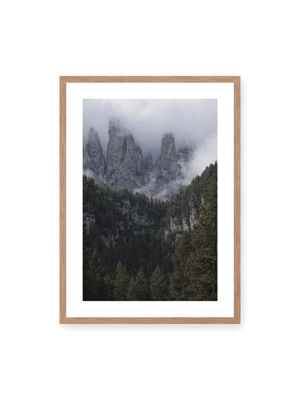 Between Forest Walls
