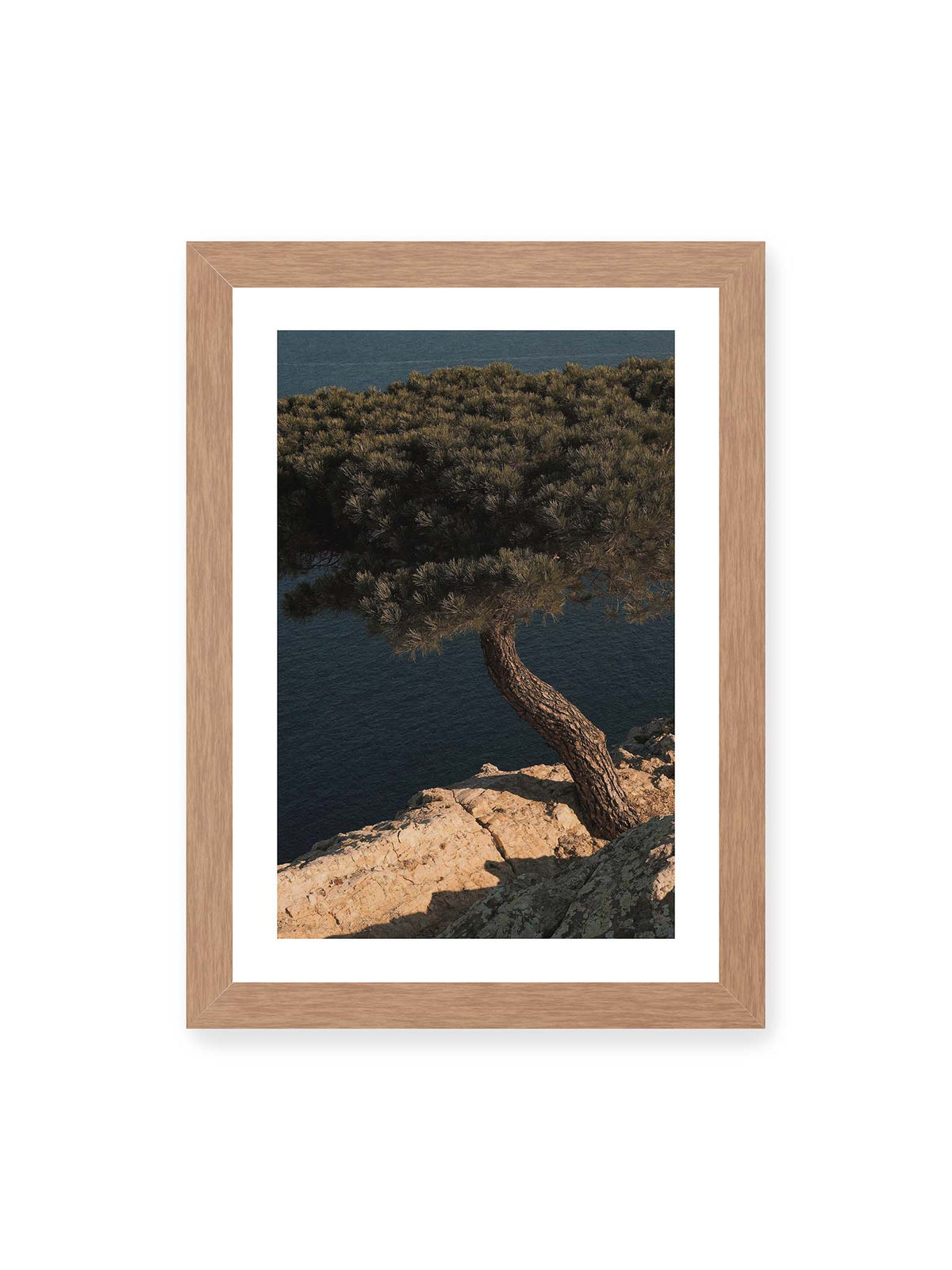 21x30 cm, weißer Galerie-Rand, Eichenrahmen – Geneigte Kiefer auf heller Felskante vor einer tiefblauen Wasserfläche.