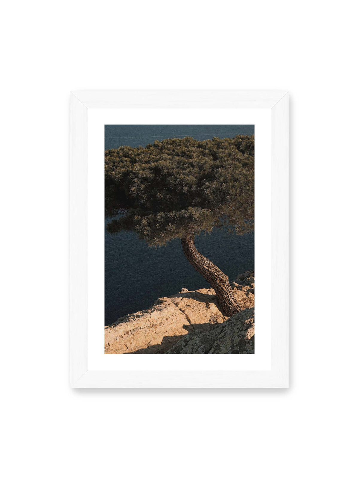21x30 cm, weißer Galerie-Rand, weißer Rahmen – Geneigte Kiefer auf heller Felskante vor einer tiefblauen Wasserfläche.