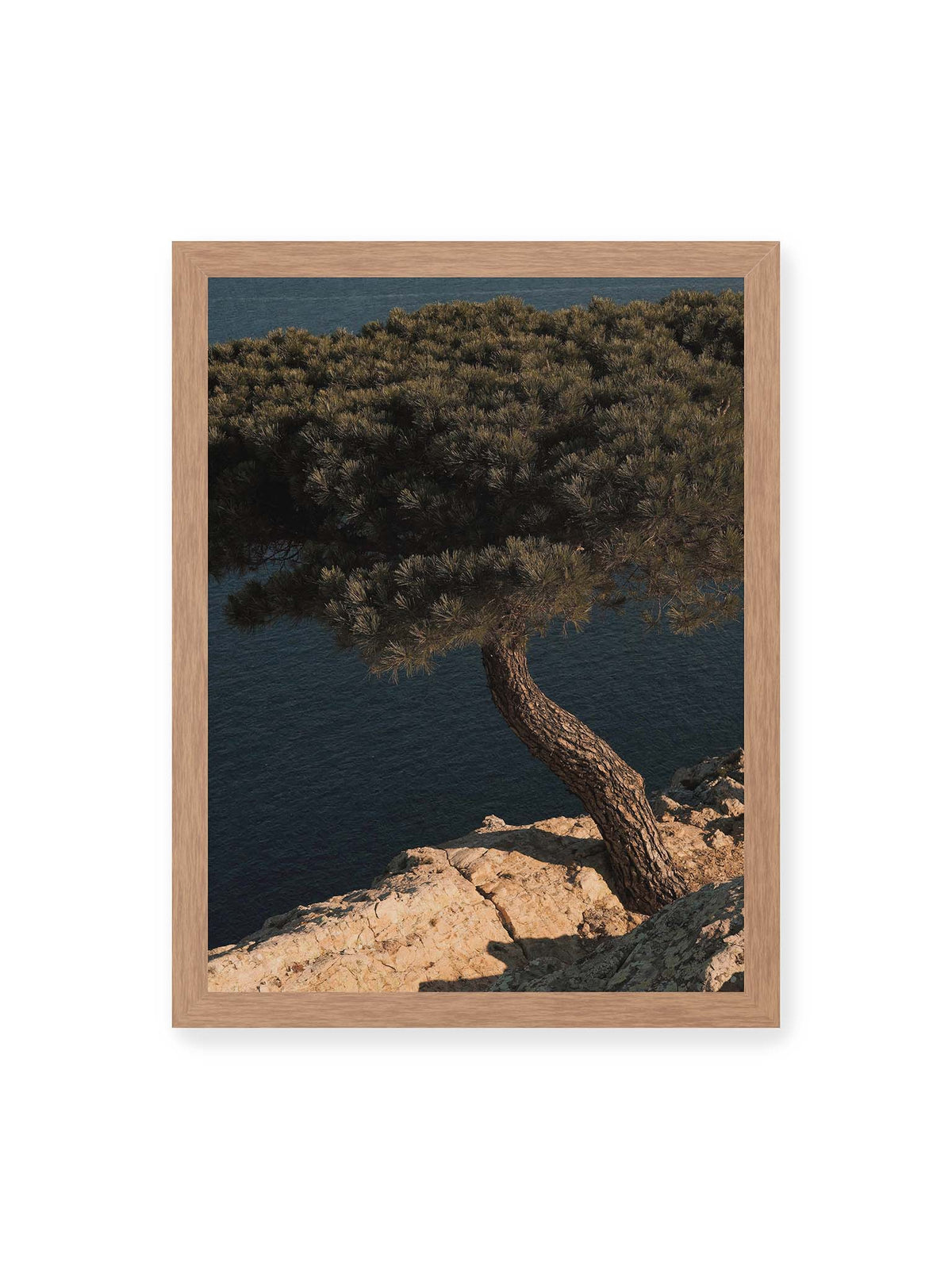30x40 cm, Eichenrahmen – Geneigte Kiefer auf heller Felskante vor einer tiefblauen Wasserfläche.