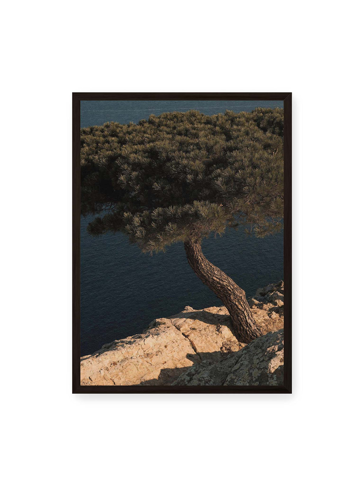 50x70 cm, schwarzer Rahmen – Geneigte Kiefer auf heller Felskante vor einer tiefblauen Wasserfläche.