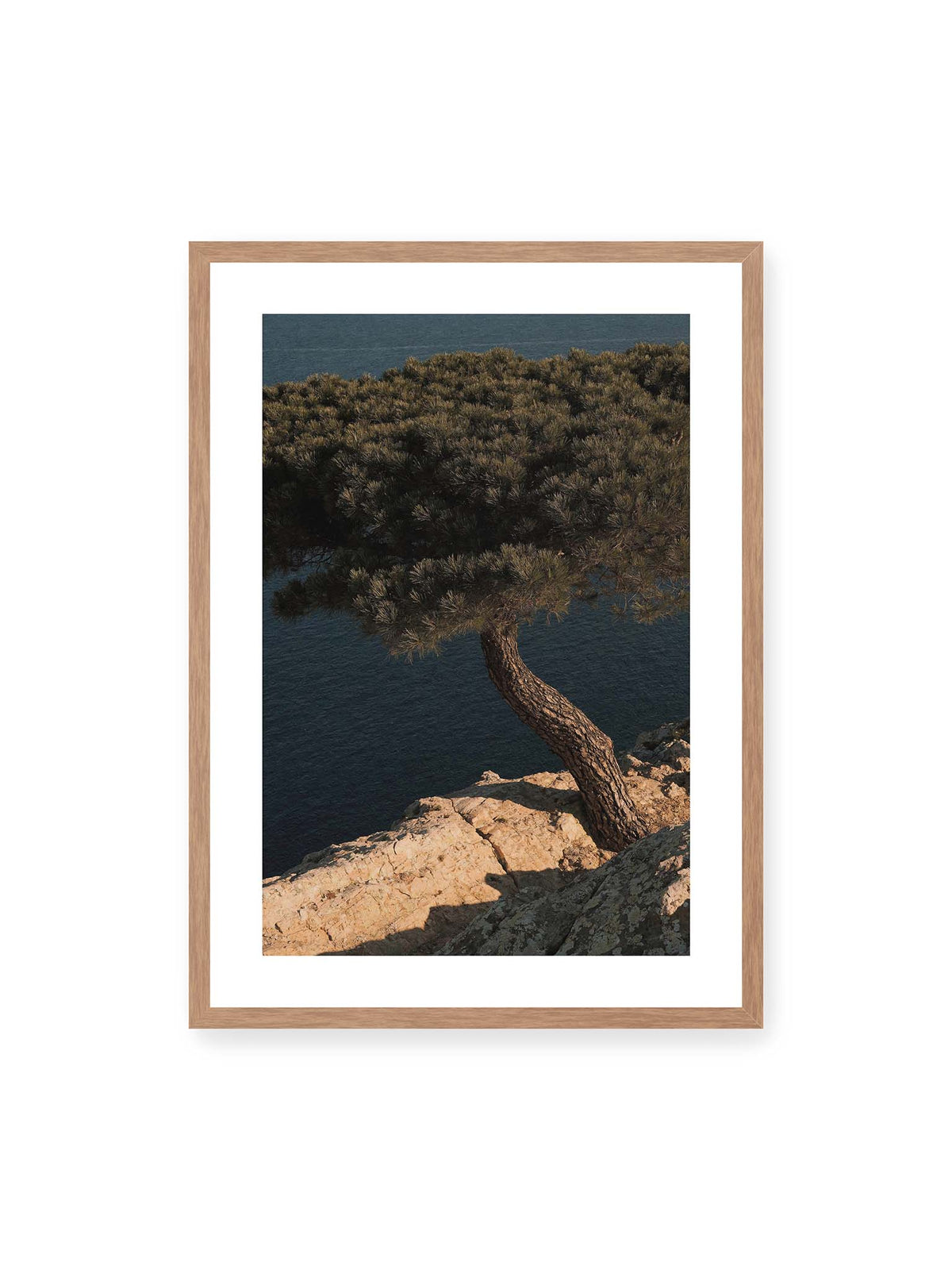 Coastal Solitude