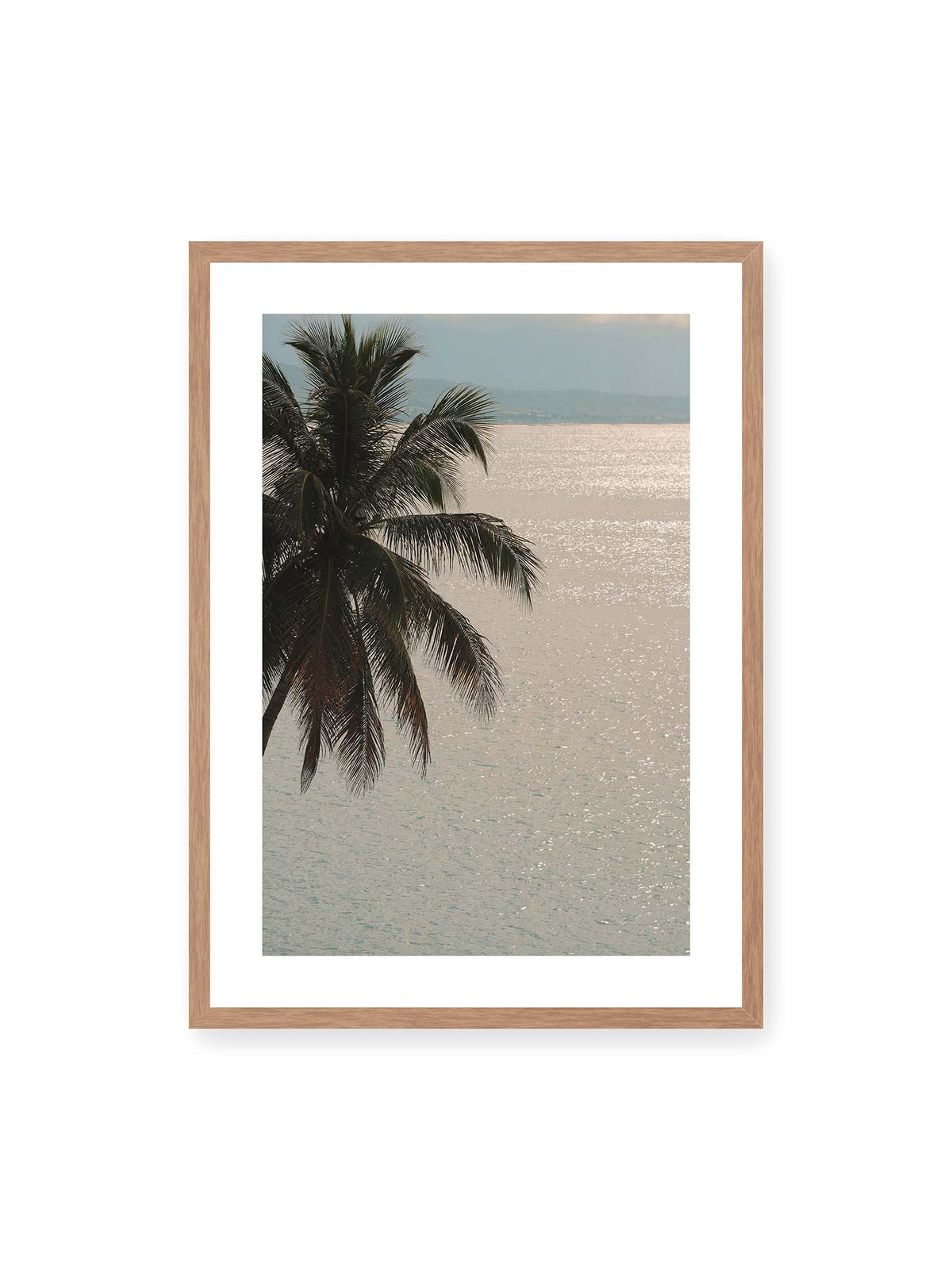 Coastal Glimmer