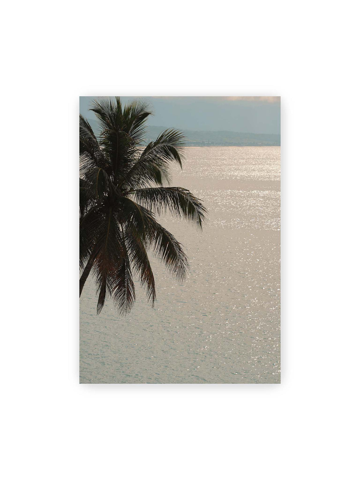 70x100 cm – Dunkle Palmwedel vor einer hell glitzernden Wasserfläche mit einer fernen Küstenlinie.