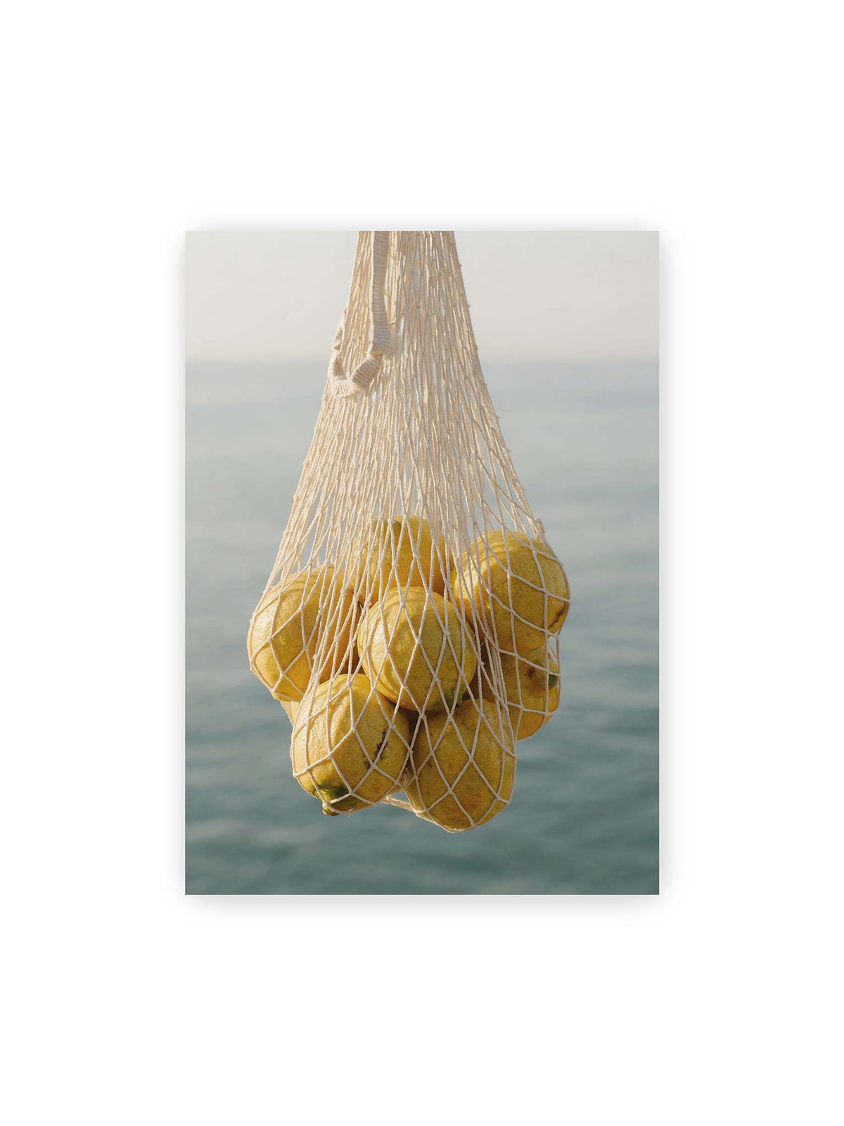 50x70 cm – Gelbe Zitronen in einem hellen geknüpften Netz vor einer weich verschwimmenden blauen Wasserfläche.