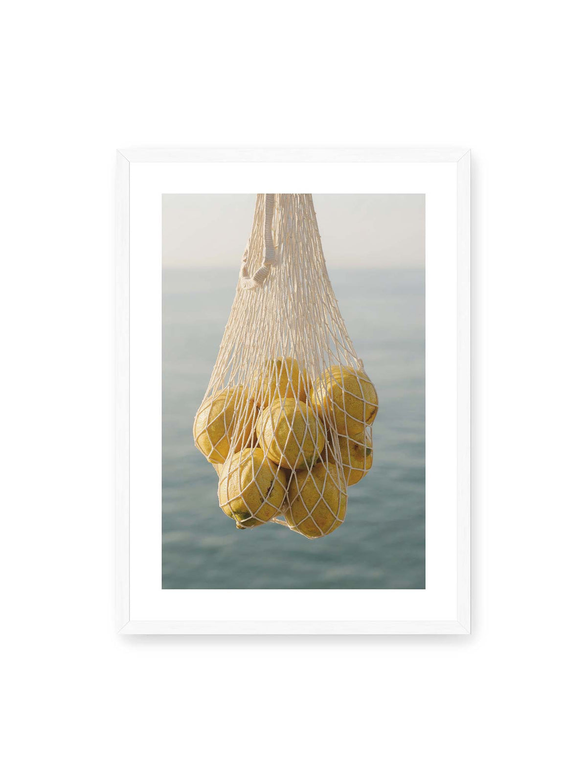 50x70 cm, weißer Galerie-Rand, weißer Rahmen – Gelbe Zitronen in einem hellen geknüpften Netz vor einer weich verschwimmenden blauen Wasserfläche.