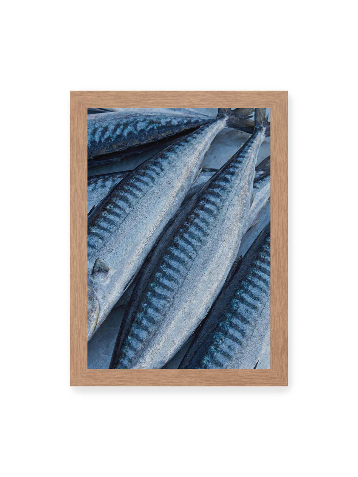 21x30 cm, Eichenrahmen – Nahaufnahme mehrerer silbrig blauer Fische mit dunkler Zeichnung und schimmernden Schuppen.