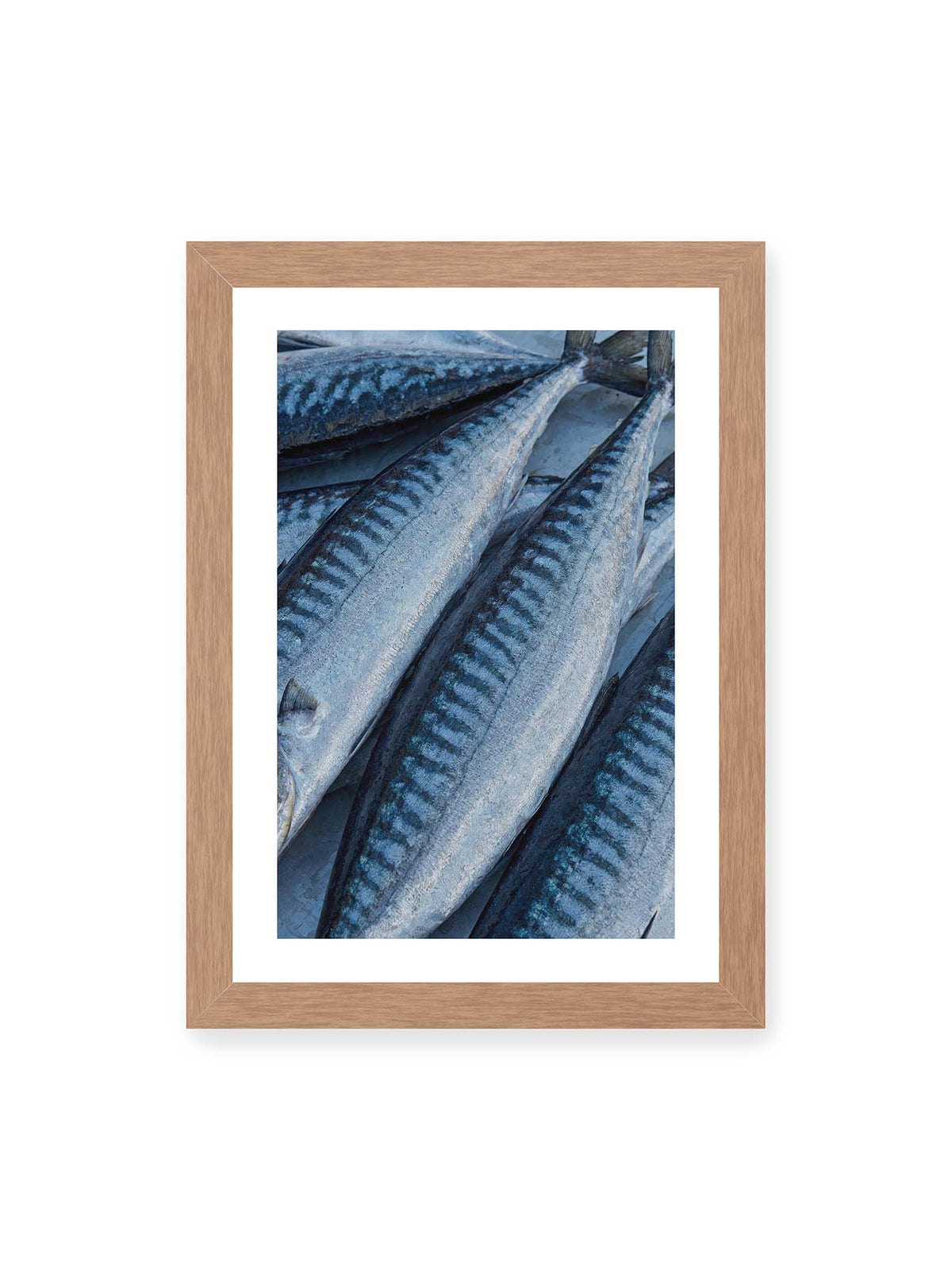 21x30 cm, weißer Galerie-Rand, Eichenrahmen – Nahaufnahme mehrerer silbrig blauer Fische mit dunkler Zeichnung und schimmernden Schuppen.