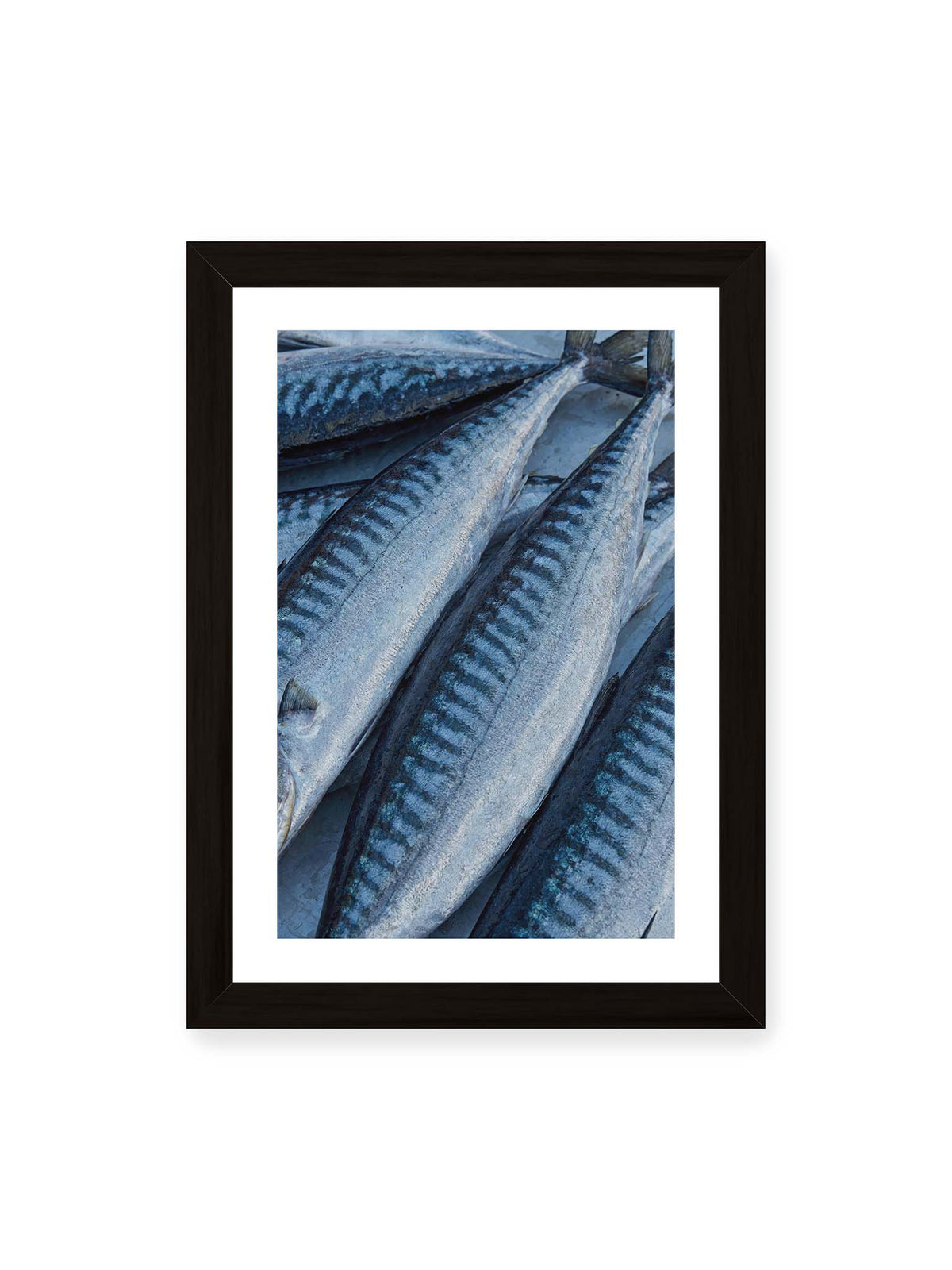 21x30 cm, weißer Galerie-Rand, schwarzer Rahmen – Nahaufnahme mehrerer silbrig blauer Fische mit dunkler Zeichnung und schimmernden Schuppen.