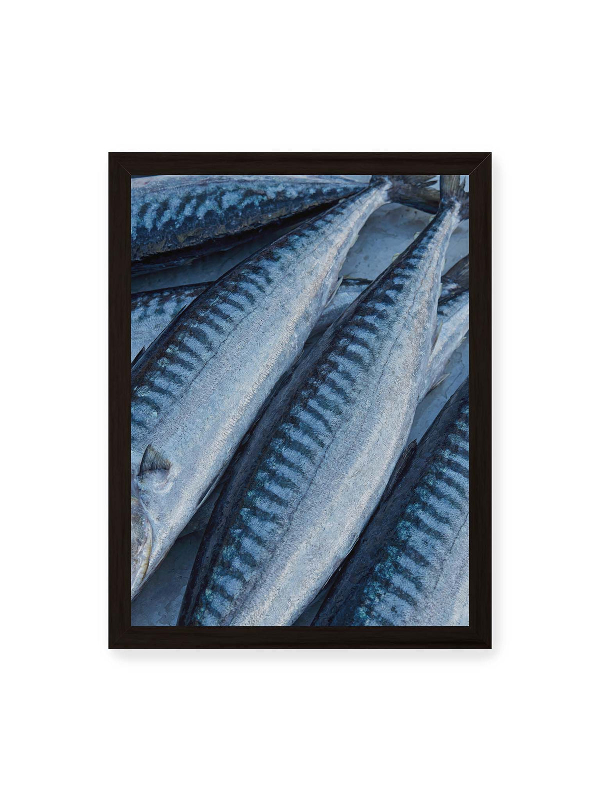 30x40 cm, schwarzer Rahmen – Nahaufnahme mehrerer silbrig blauer Fische mit dunkler Zeichnung und schimmernden Schuppen.