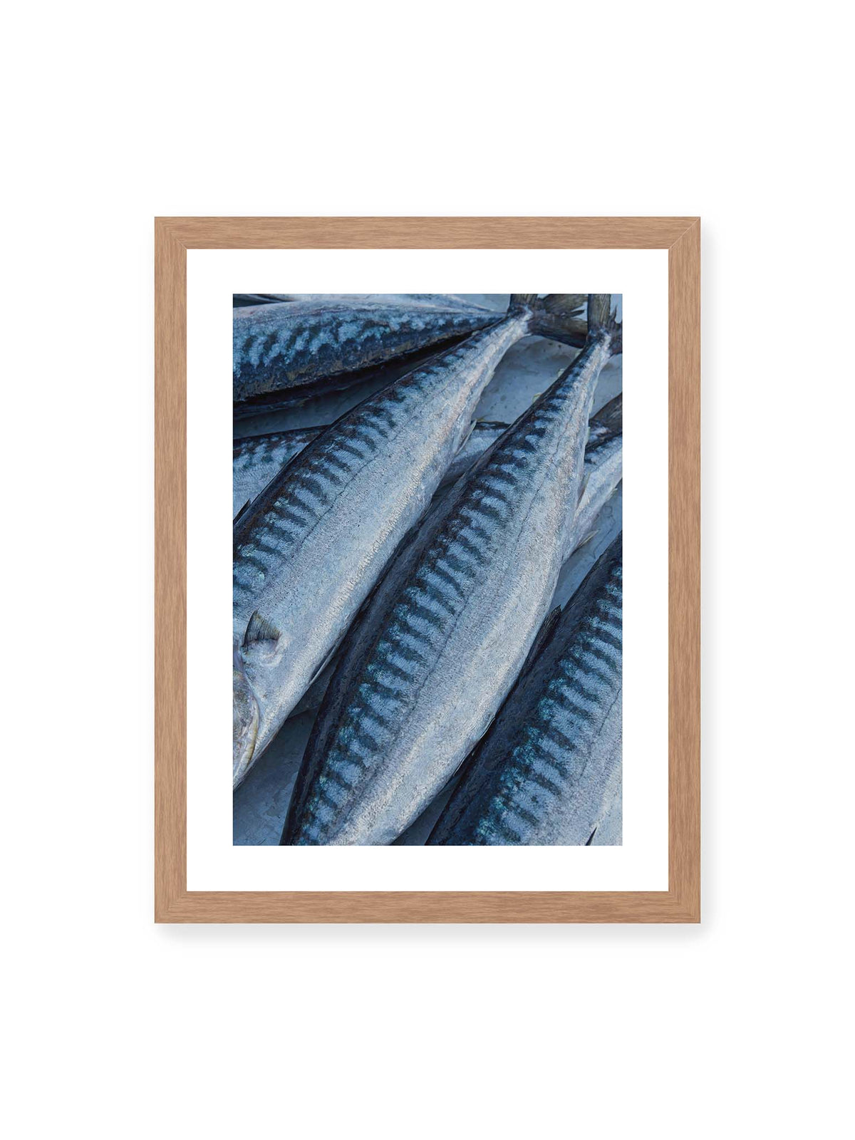 30x40 cm, weißer Galerie-Rand, Eichenrahmen – Nahaufnahme mehrerer silbrig blauer Fische mit dunkler Zeichnung und schimmernden Schuppen.