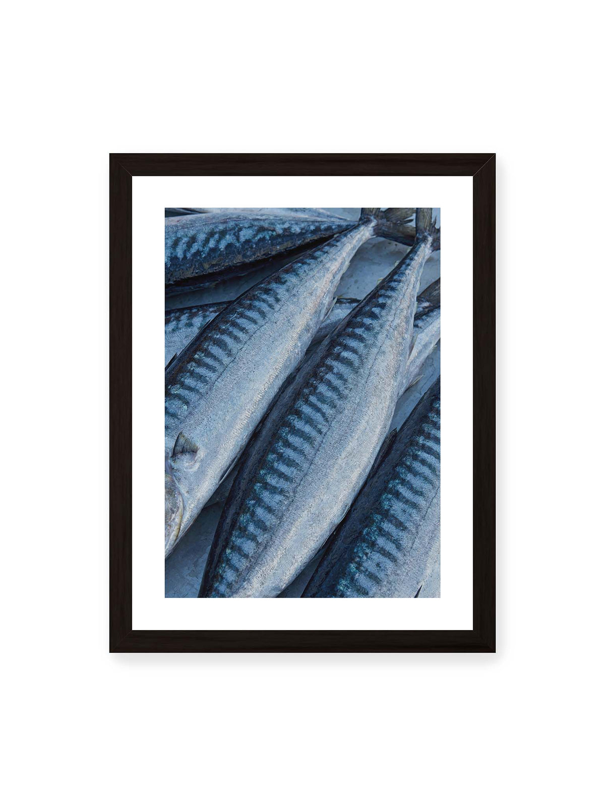 30x40 cm, weißer Galerie-Rand, schwarzer Rahmen – Nahaufnahme mehrerer silbrig blauer Fische mit dunkler Zeichnung und schimmernden Schuppen.