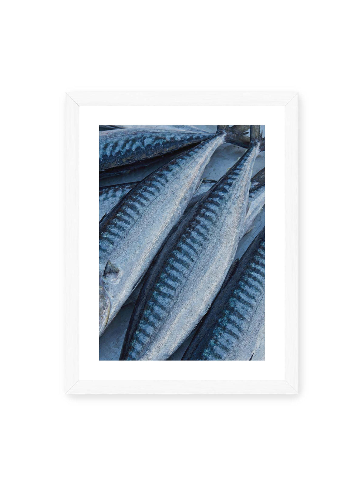 30x40 cm, weißer Galerie-Rand, weißer Rahmen – Nahaufnahme mehrerer silbrig blauer Fische mit dunkler Zeichnung und schimmernden Schuppen.